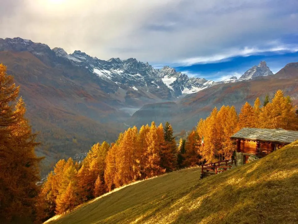 Natural landscape in B&B Lepetitnid