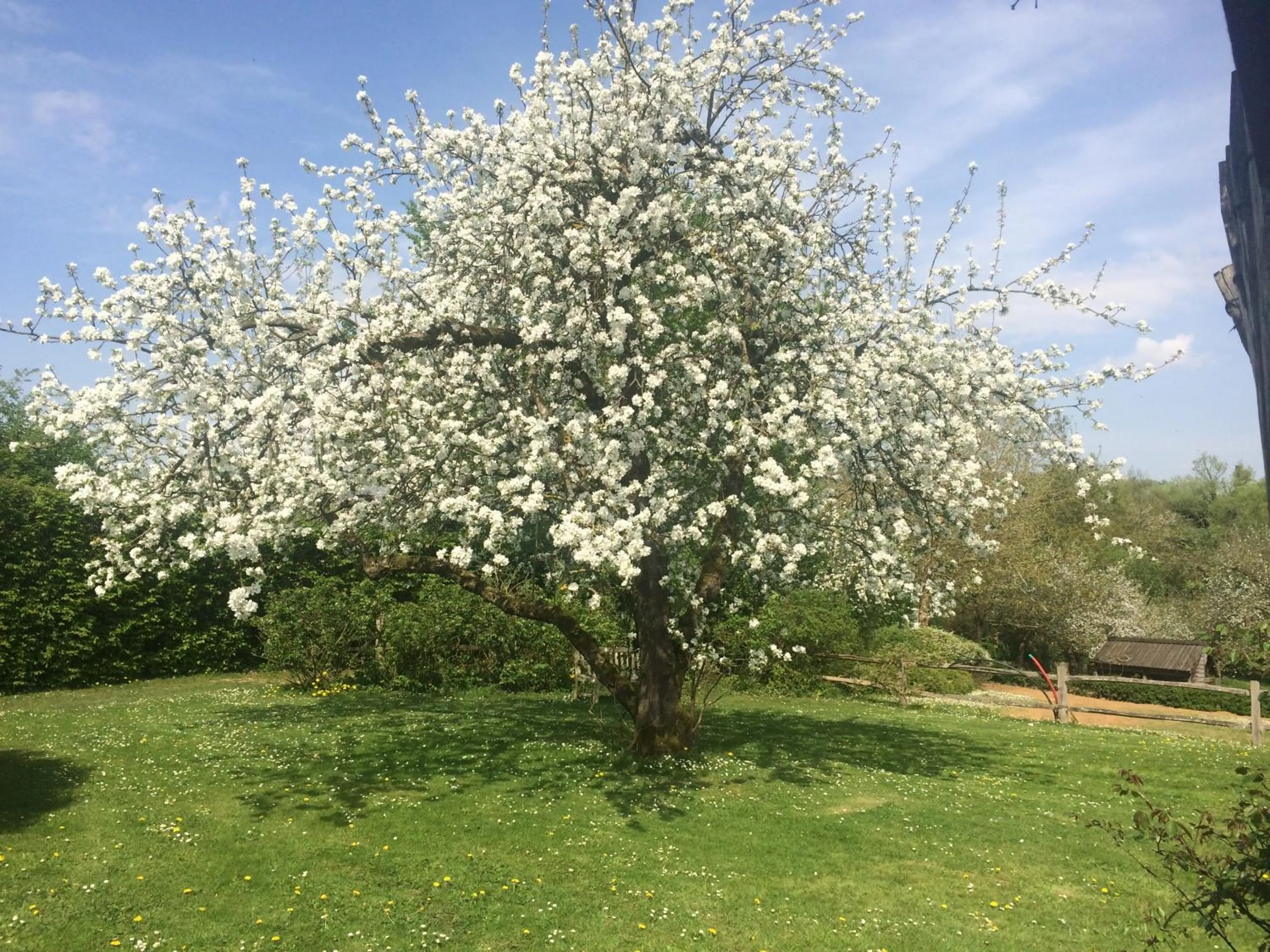 Garden in Le Jardin Des Sources