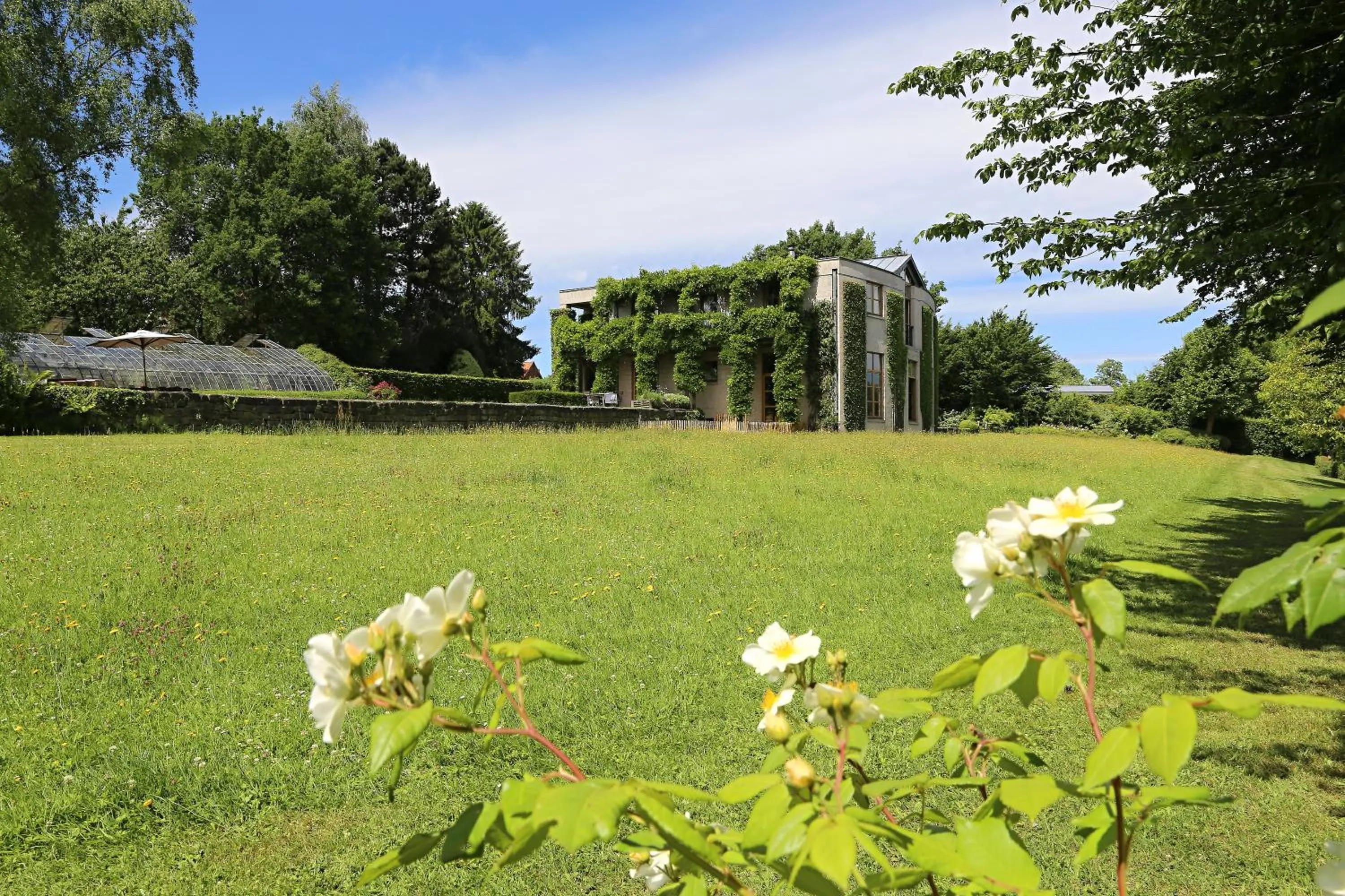 Garden in Le Jardin Des Sources