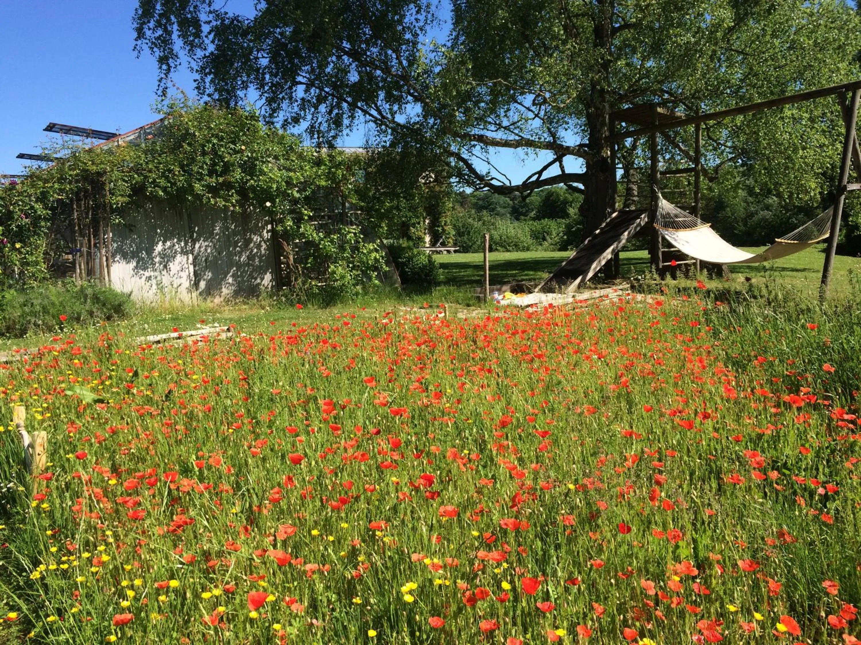 Summer in Le Jardin Des Sources