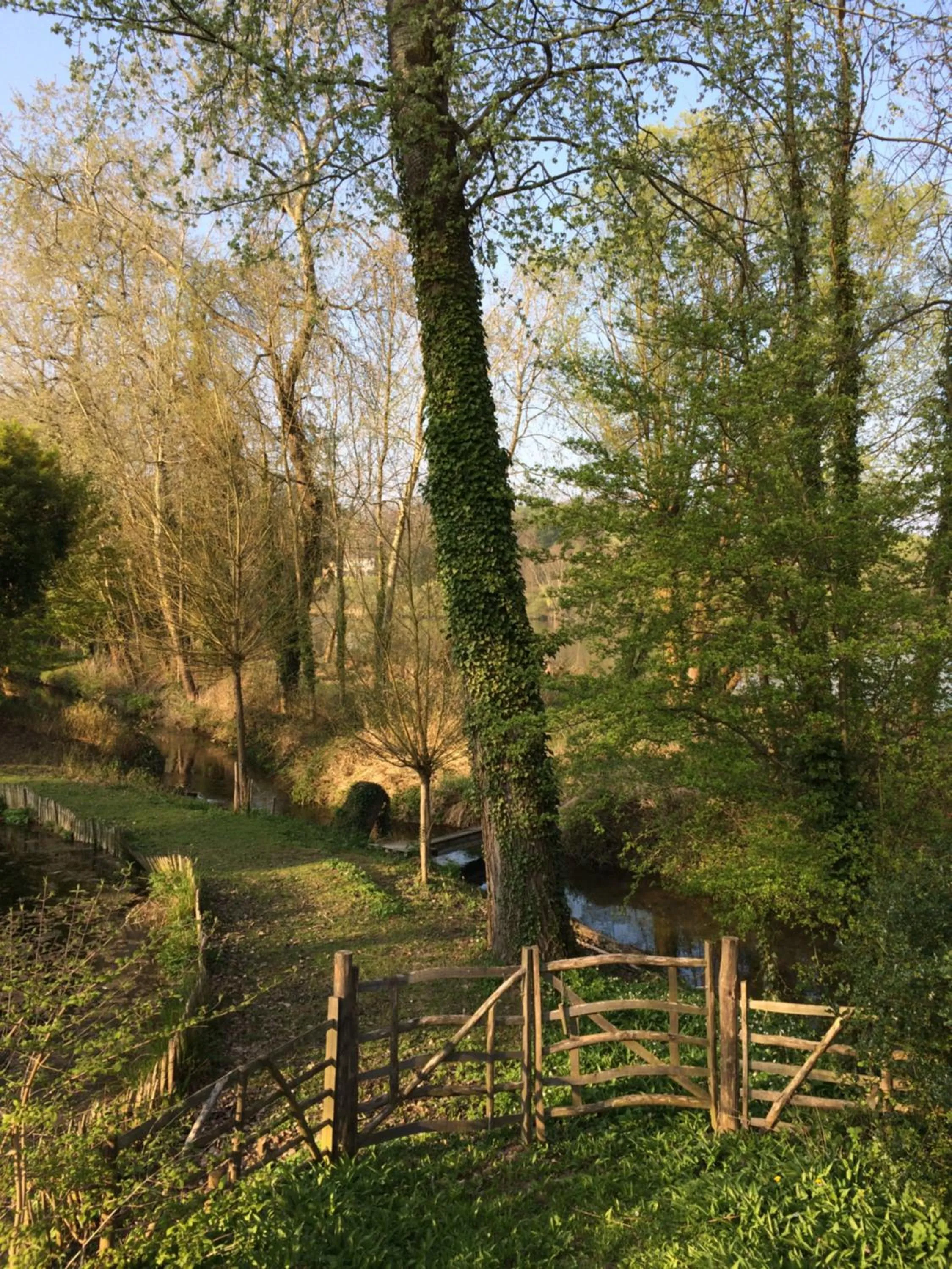 River view in Le Jardin Des Sources