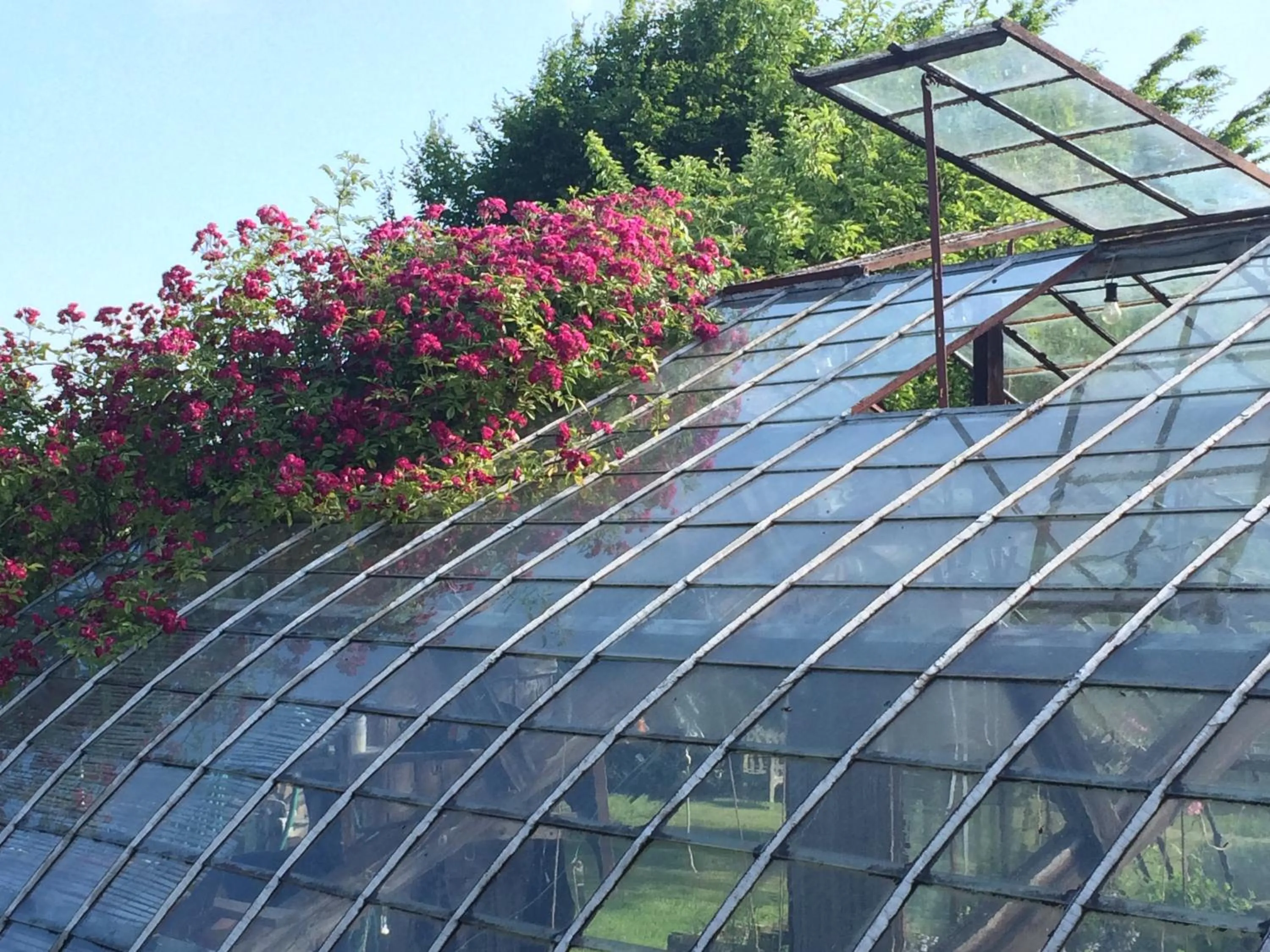 Garden in Le Jardin Des Sources