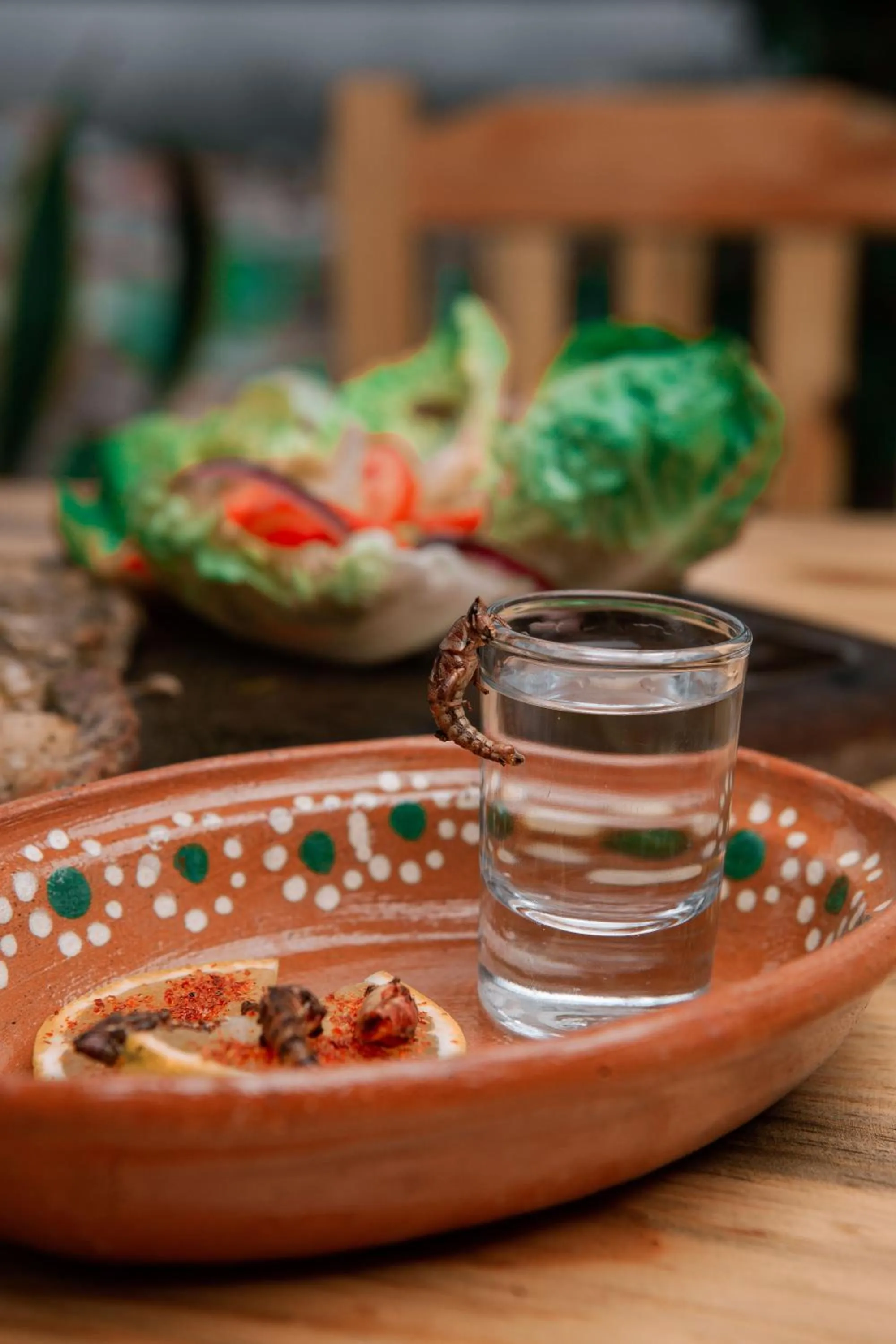 Food and drinks in Hotel & Suites Cerro Roj0