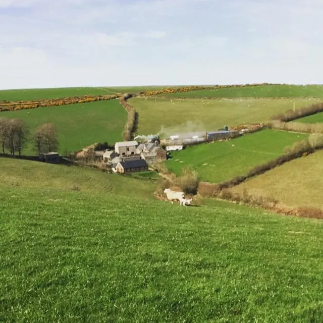 Coombe Farm
