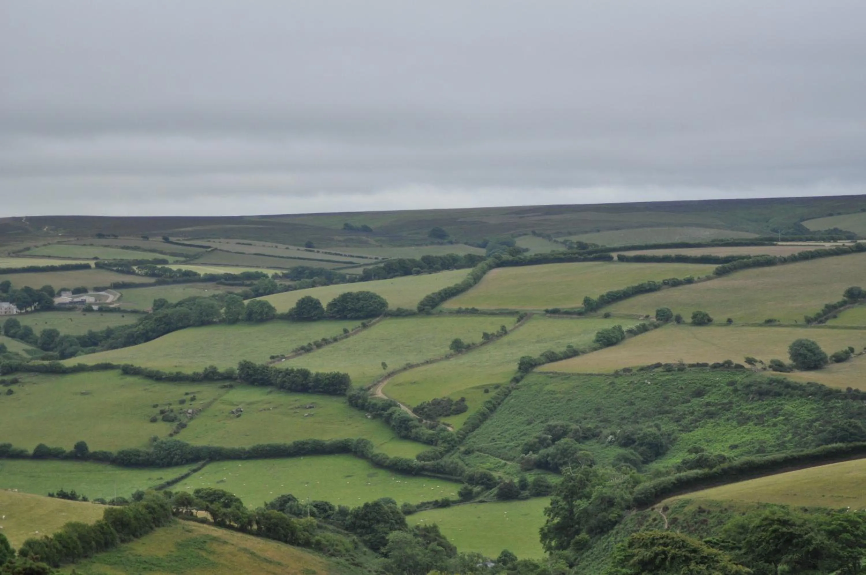 Coombe Farm