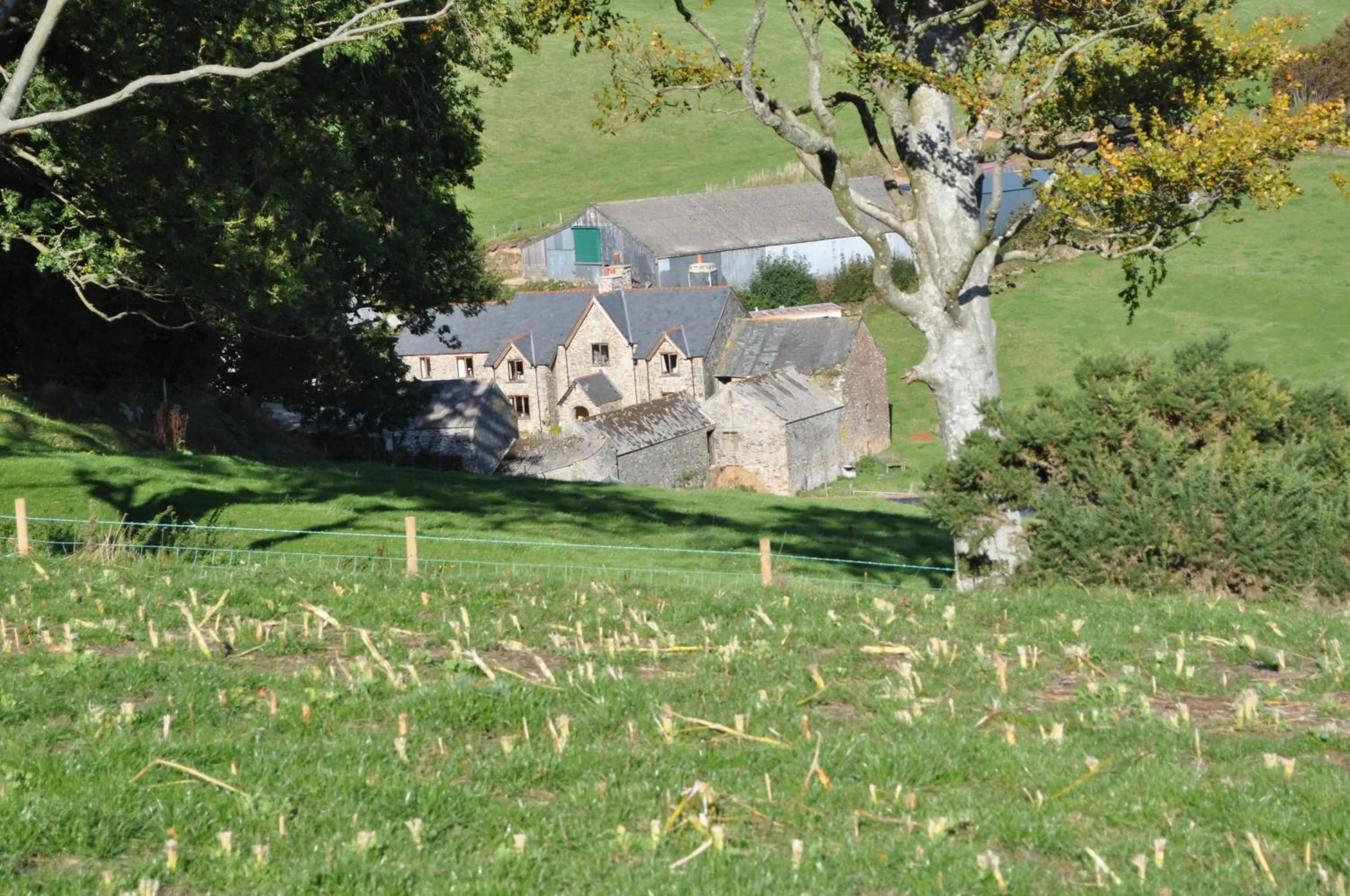 Coombe Farm