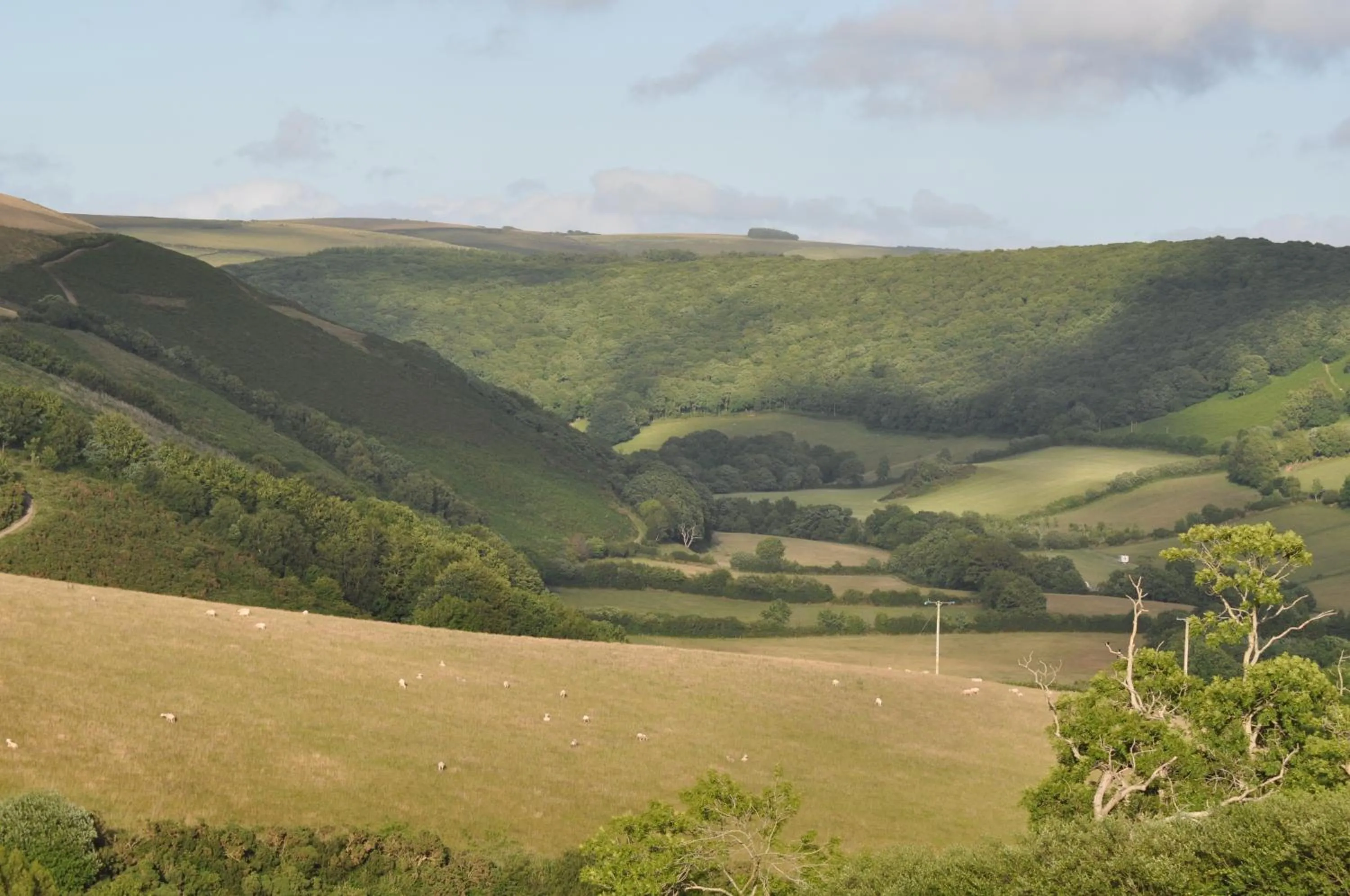 Coombe Farm