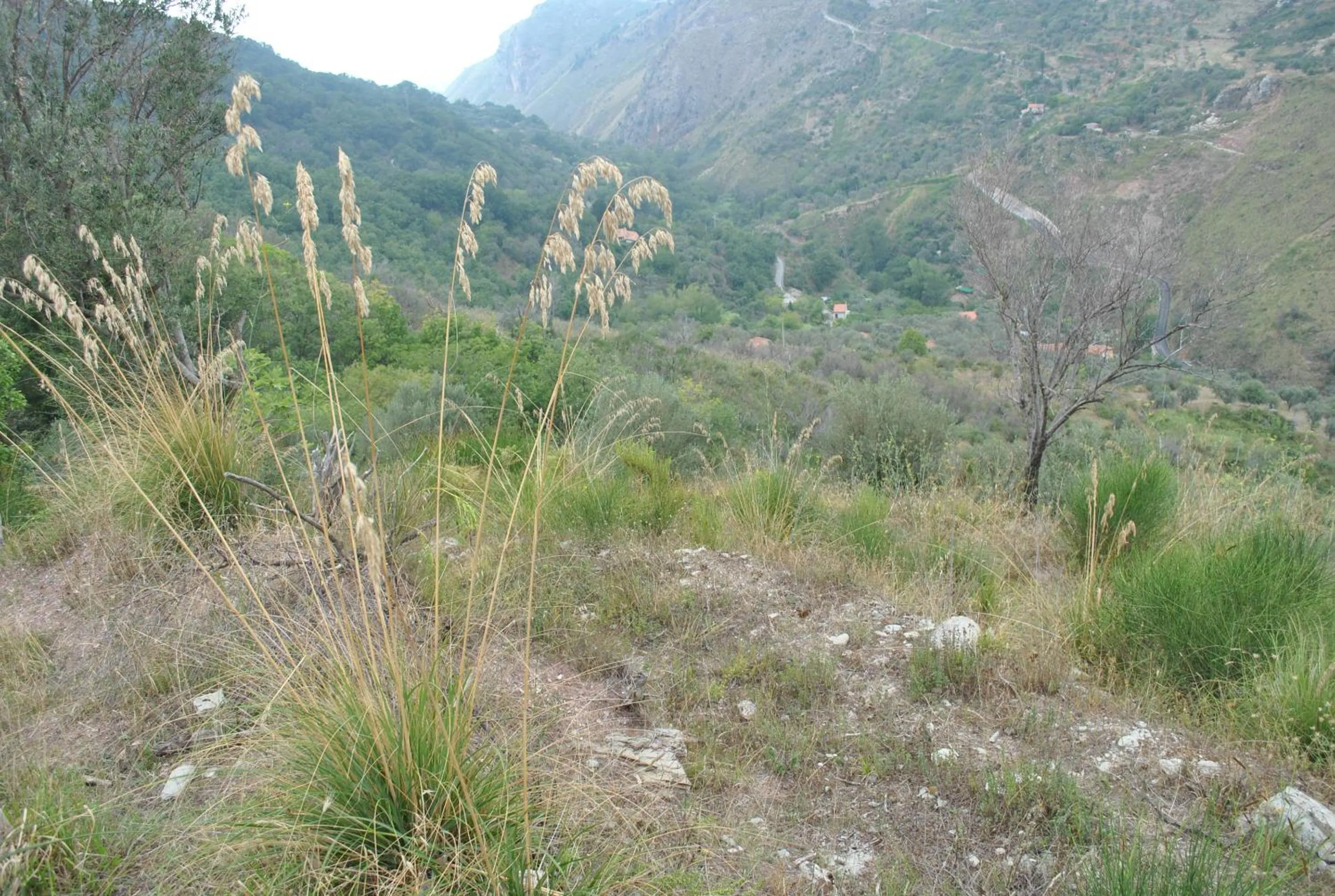 Mountain view in Bed & Breakfast StudioArcodia-