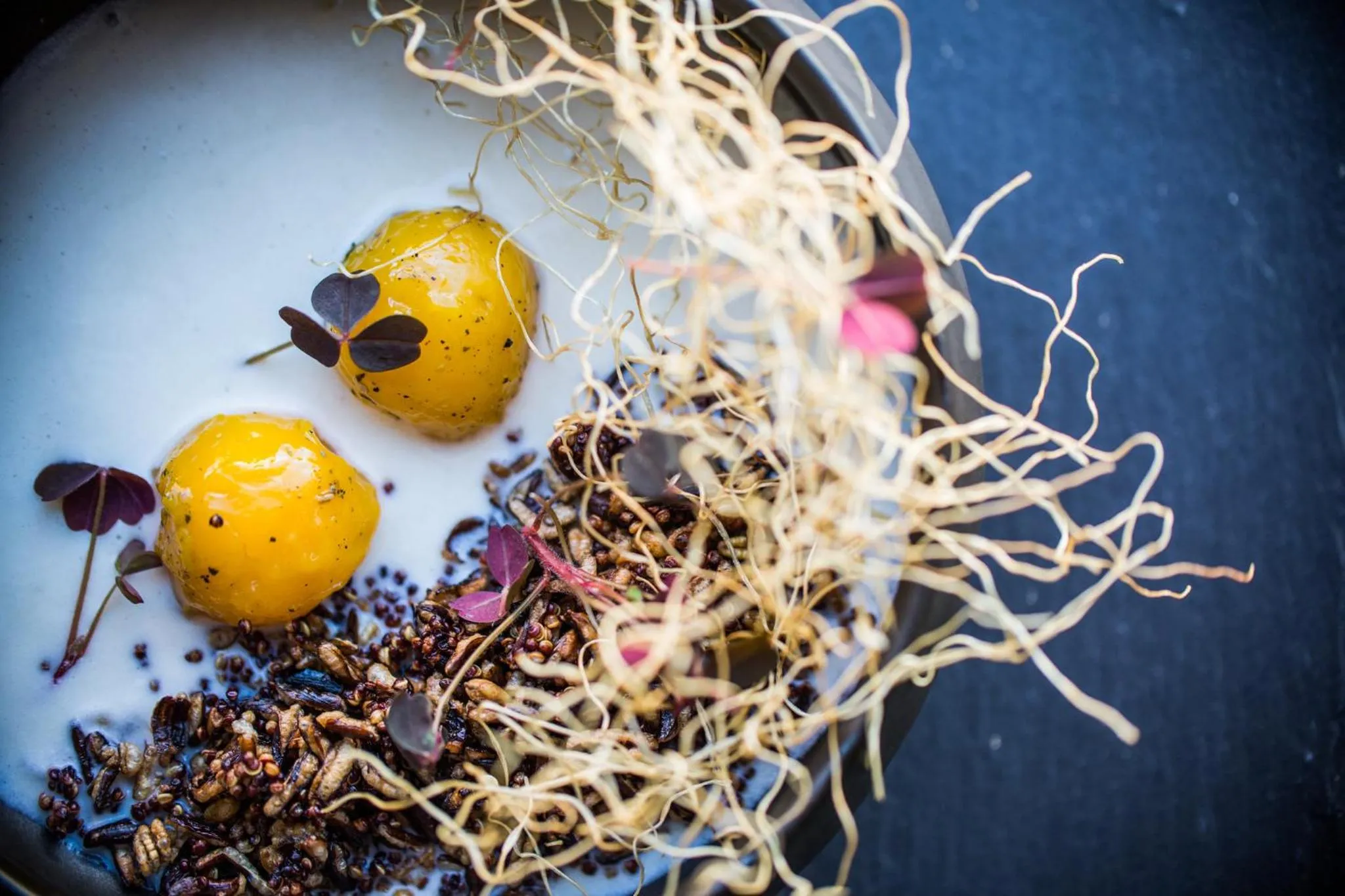 Restaurant/places to eat in Kimpton Aertson Hotel by IHG