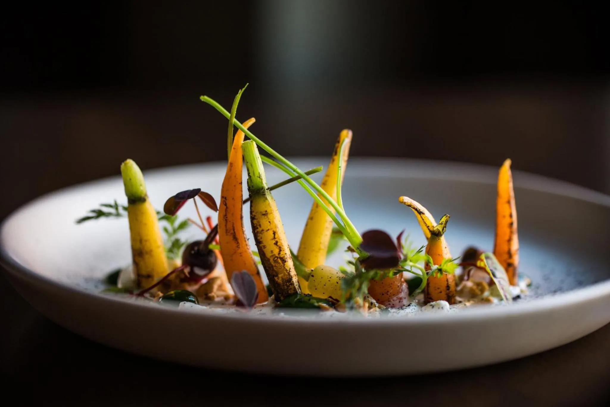 Restaurant/places to eat in Kimpton Aertson Hotel by IHG