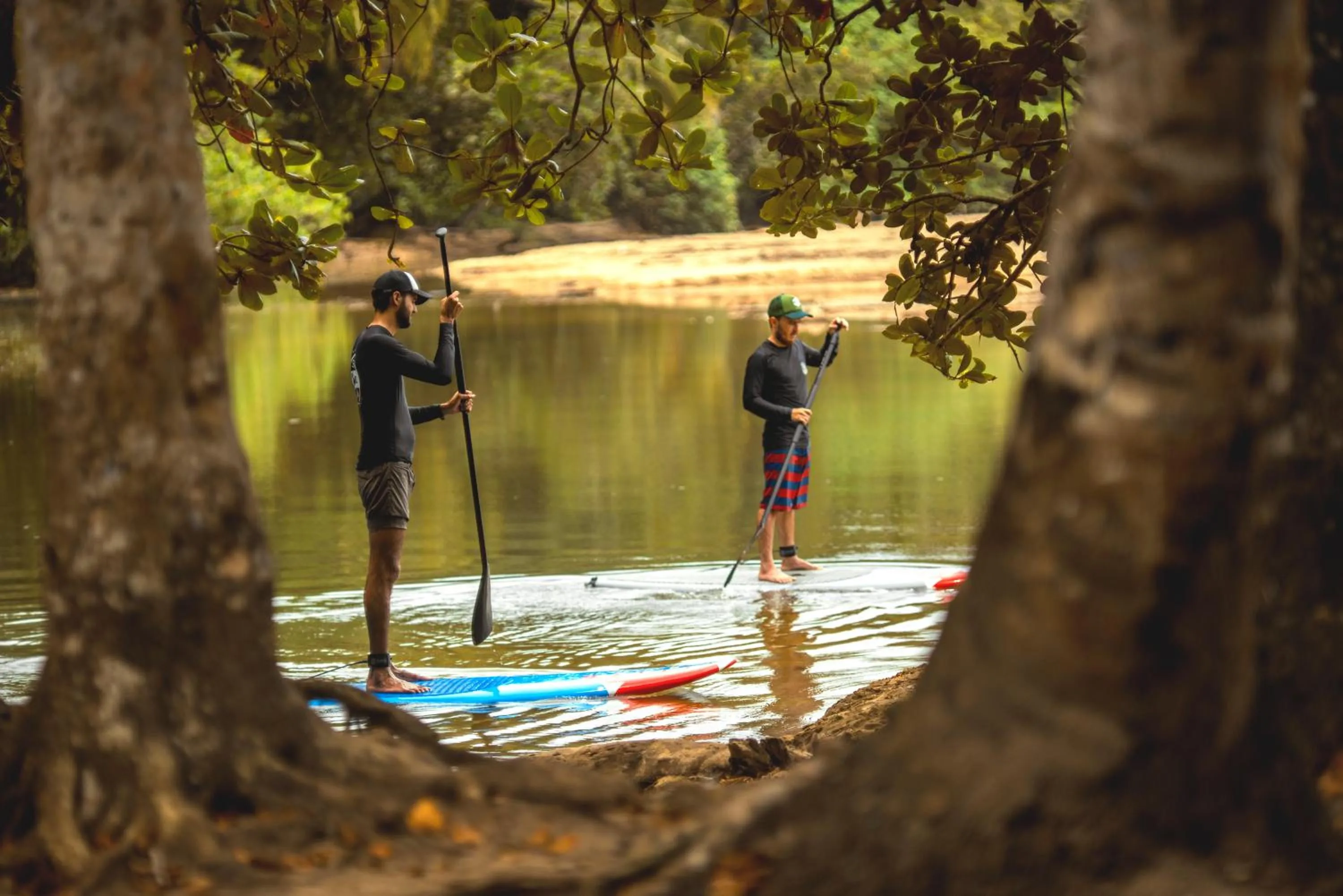 Activities in Socialtel Puerto Viejo - formerly Selina Puerto Viejo