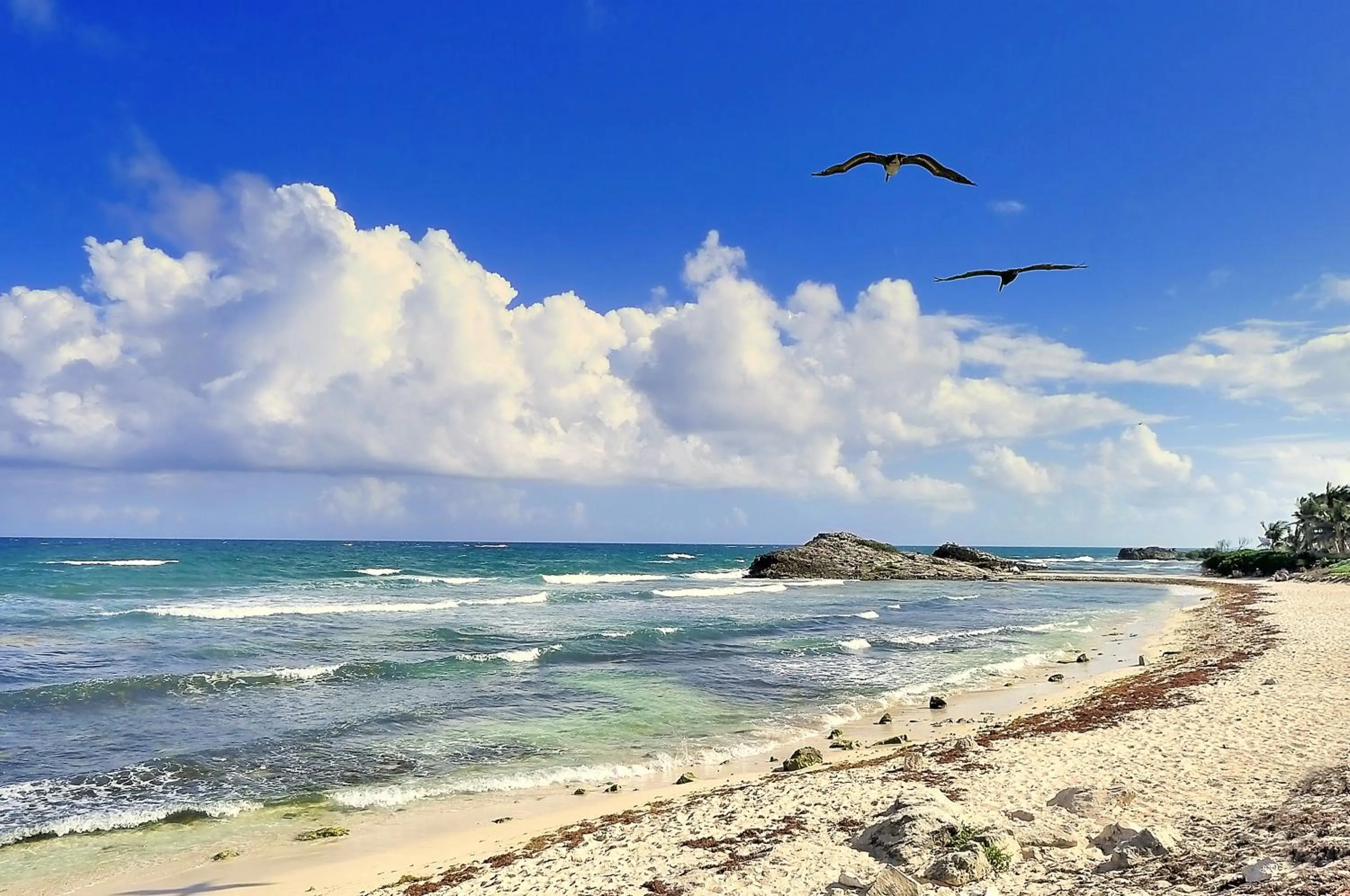 Beach in Maya Tulum By G Hotels