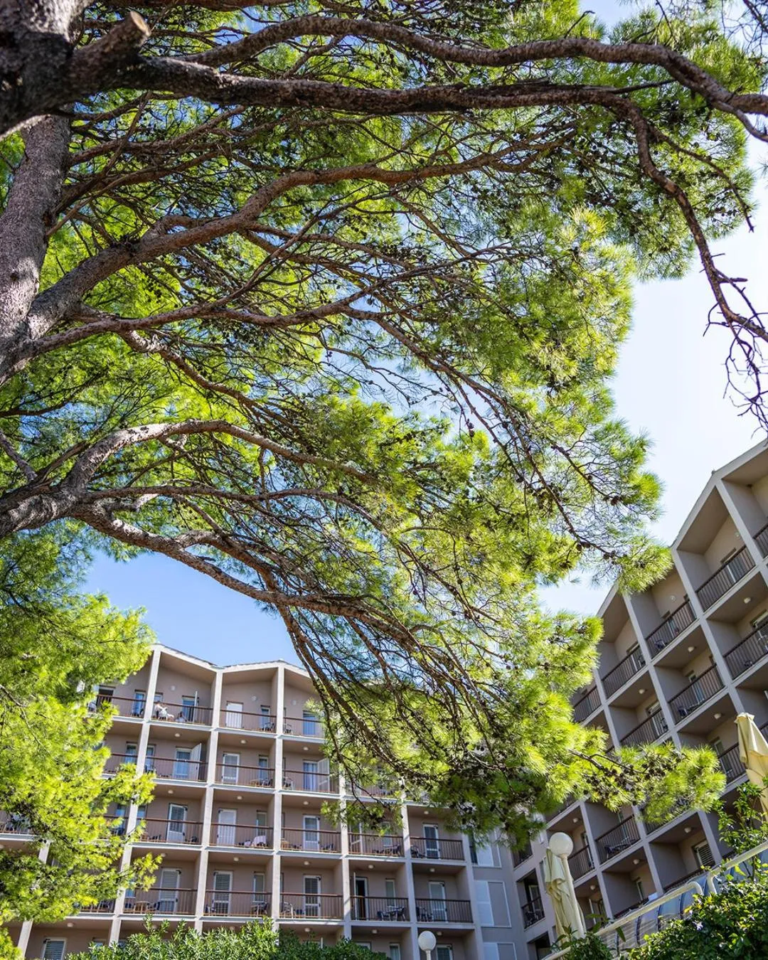 Property building in Hotel Horizont