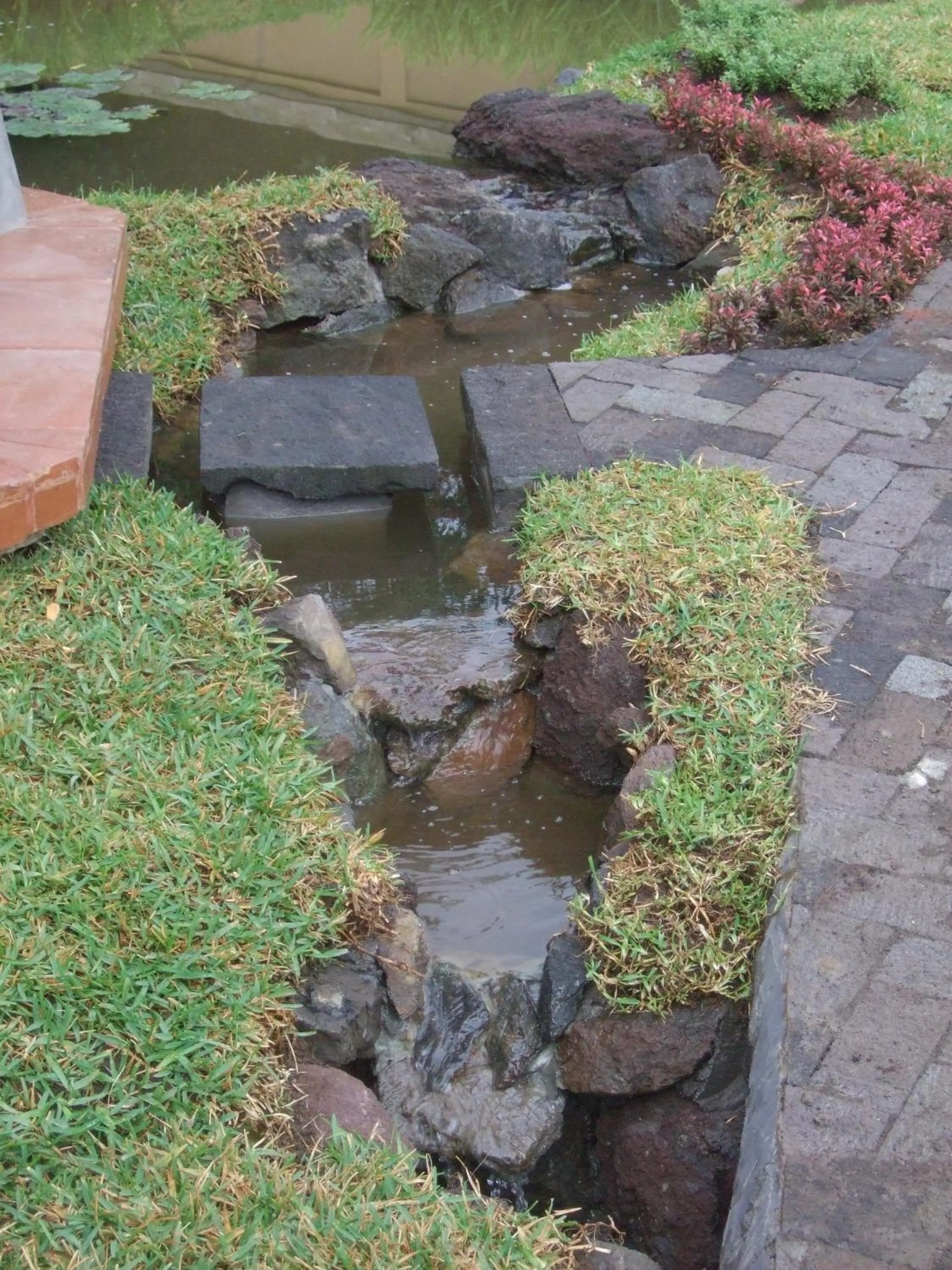 Garden in Strawberry Hill Hotel & Restaurant