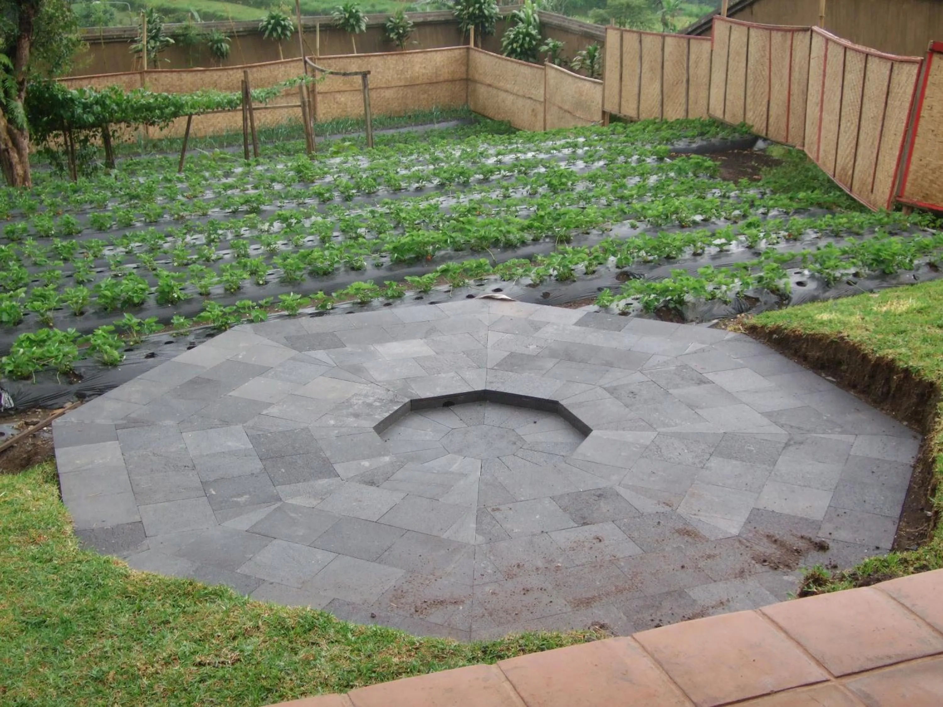 Balcony/Terrace in Strawberry Hill Hotel & Restaurant