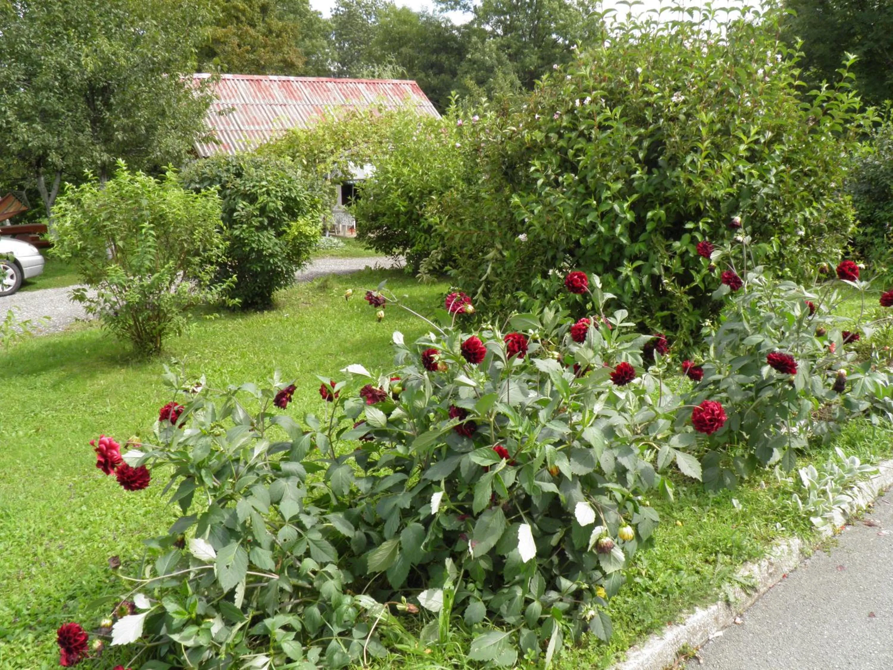 Garden in House Janja Plitvice