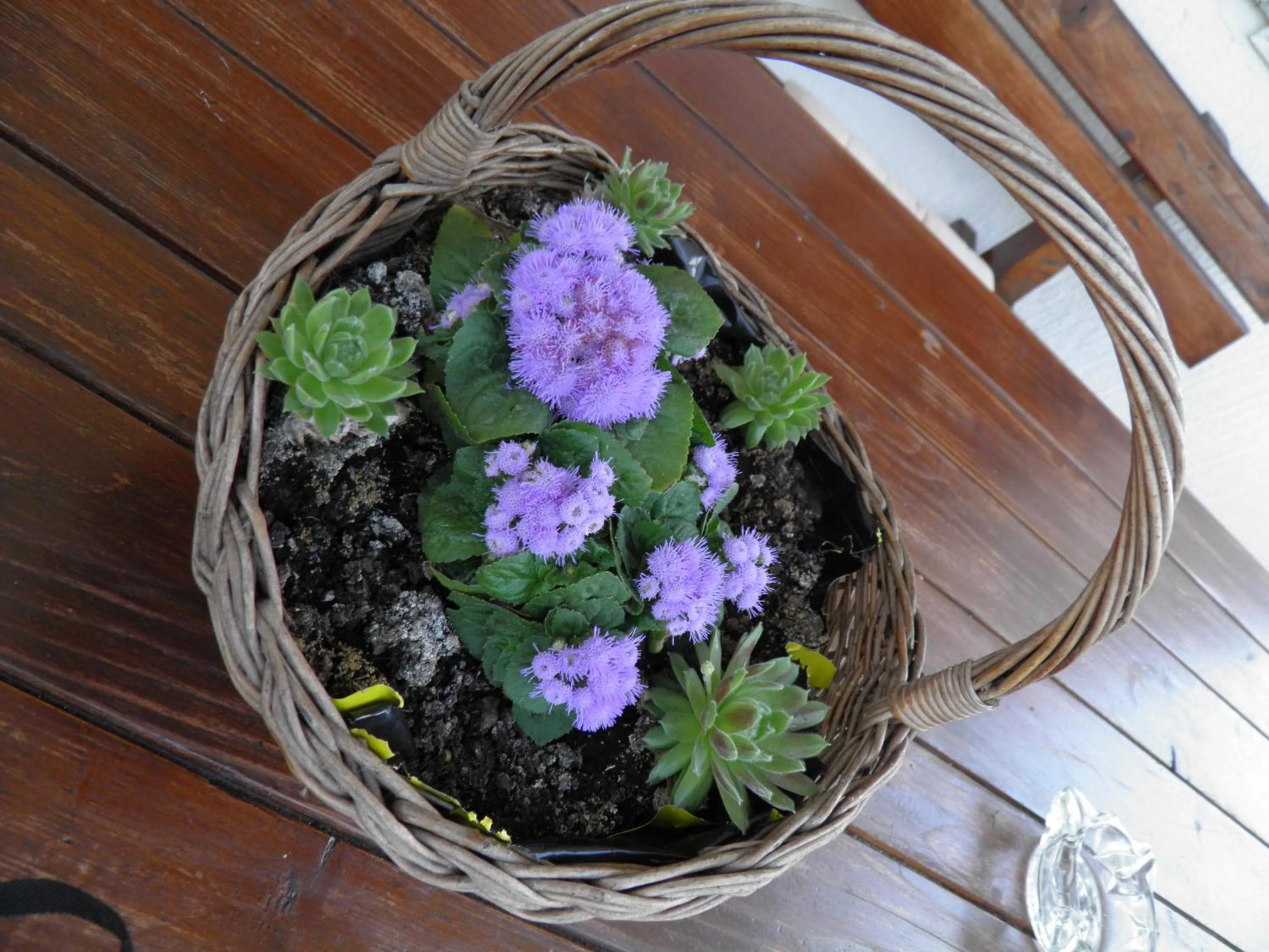 Garden in House Janja Plitvice