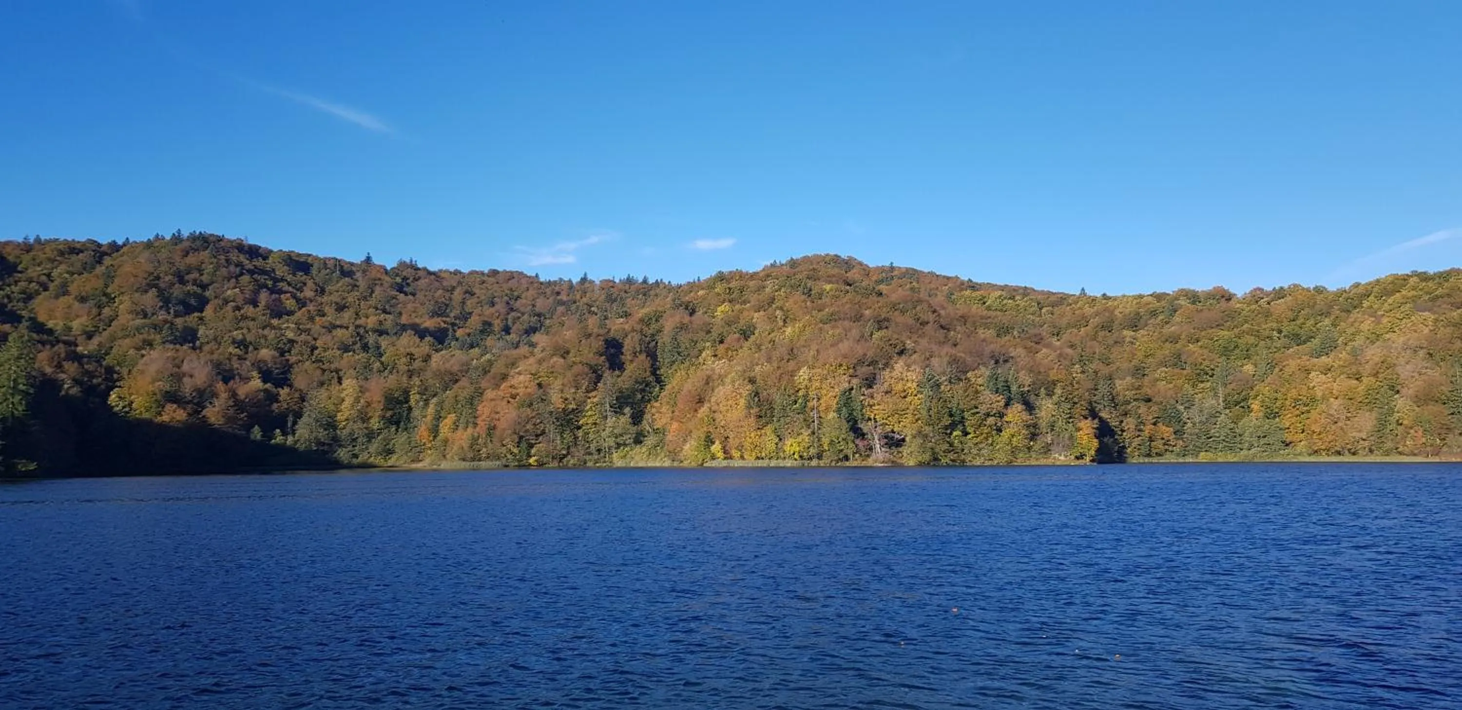 Natural landscape in House Janja Plitvice