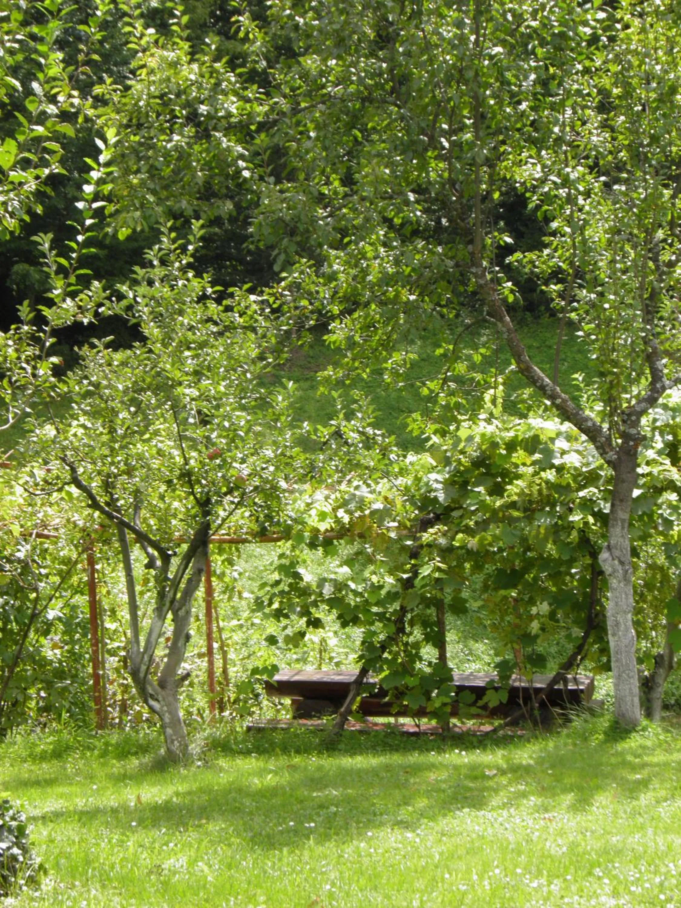 Garden in House Janja Plitvice