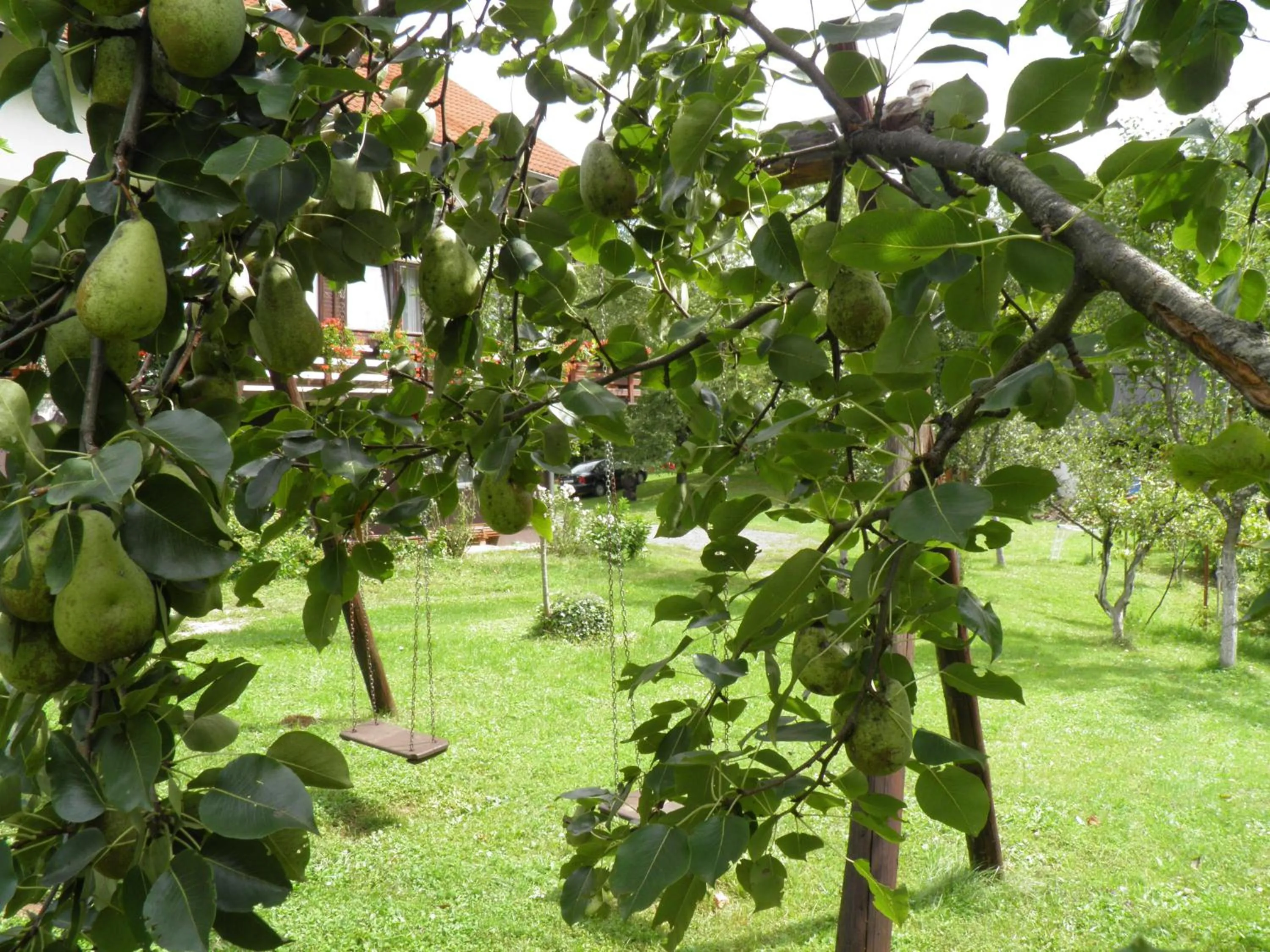 Garden in House Janja Plitvice