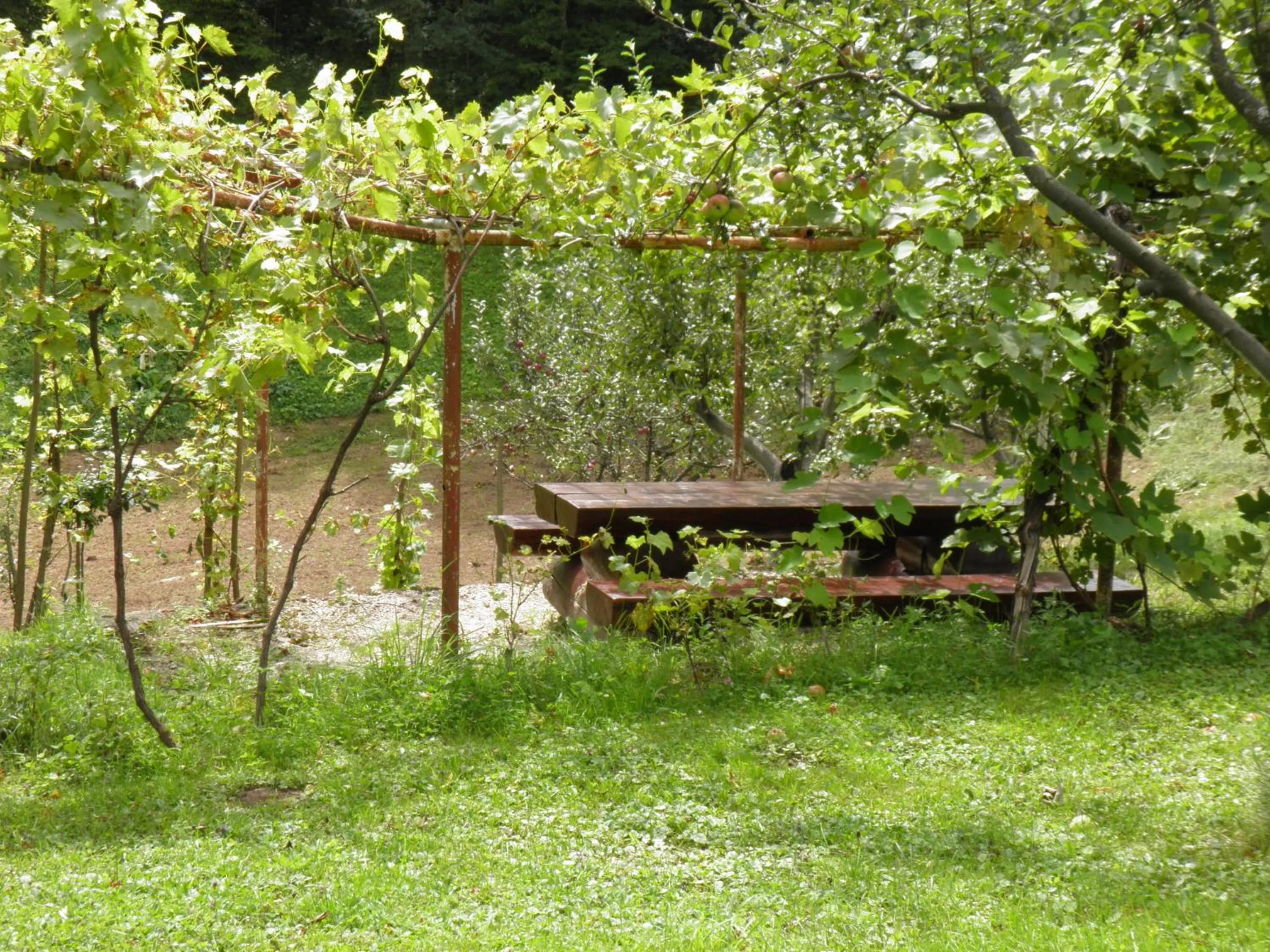 Garden in House Janja Plitvice