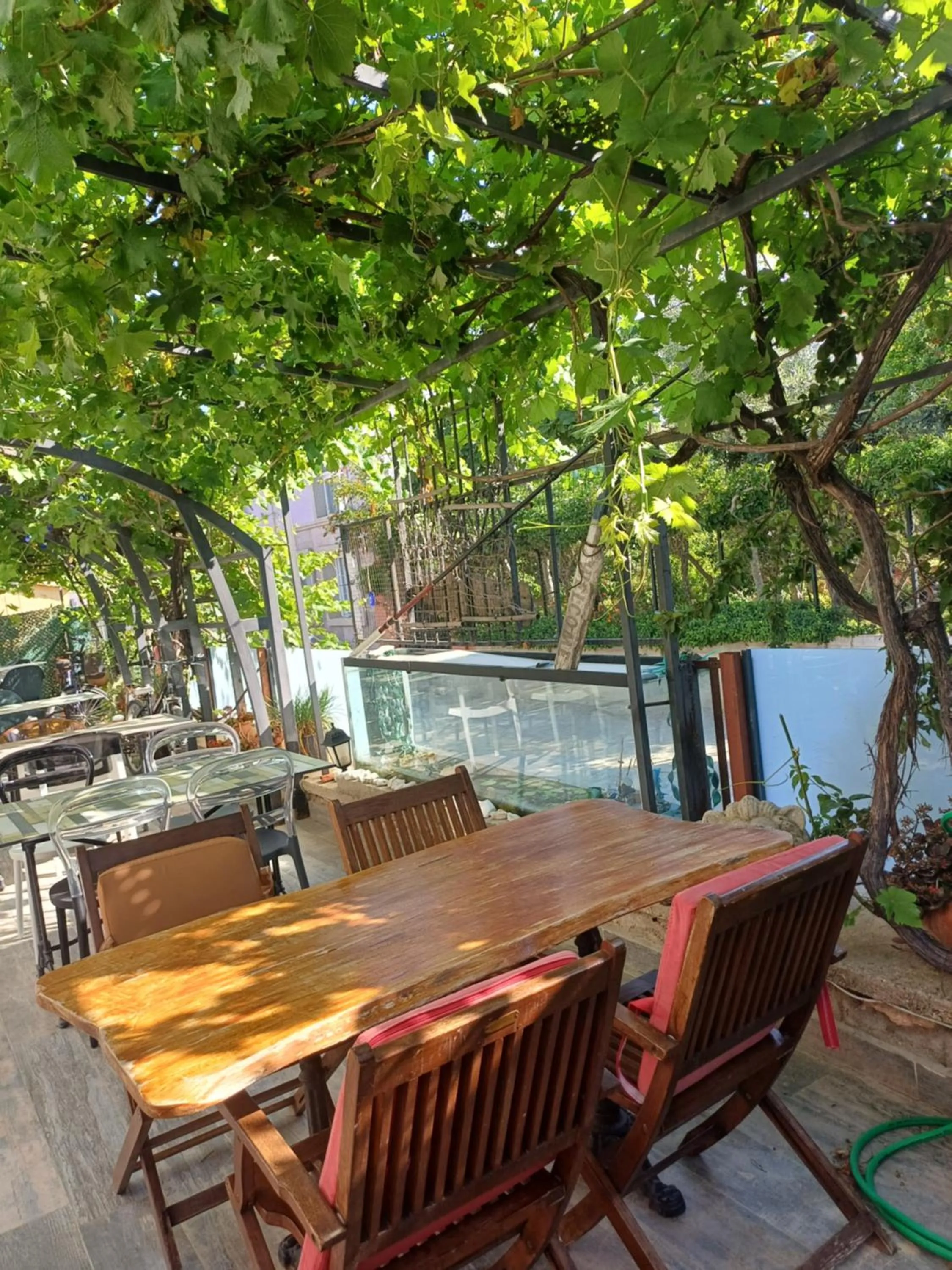 Garden view in Balim Sultany