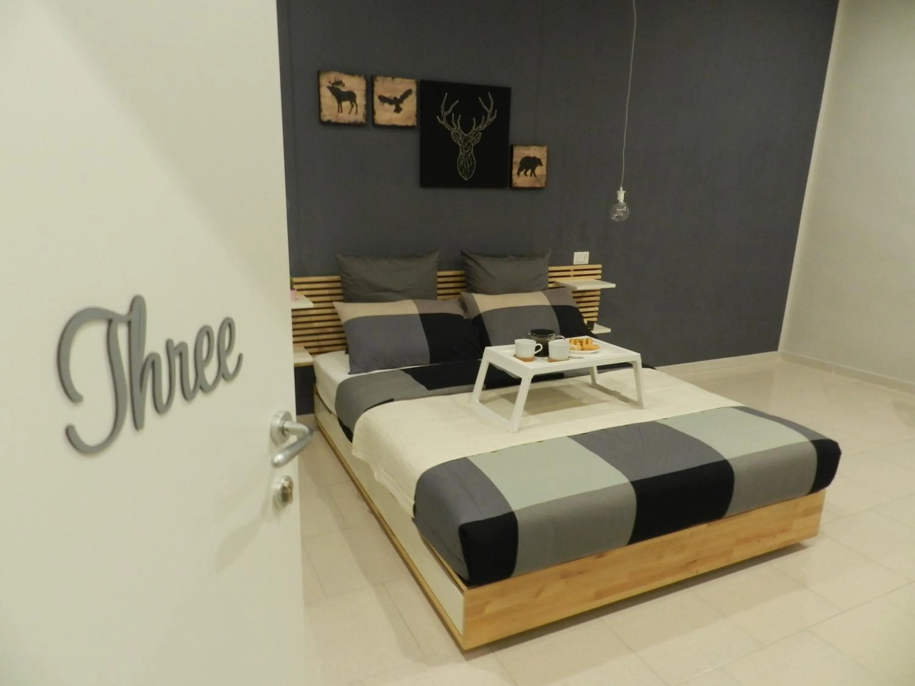 Mola Rooms