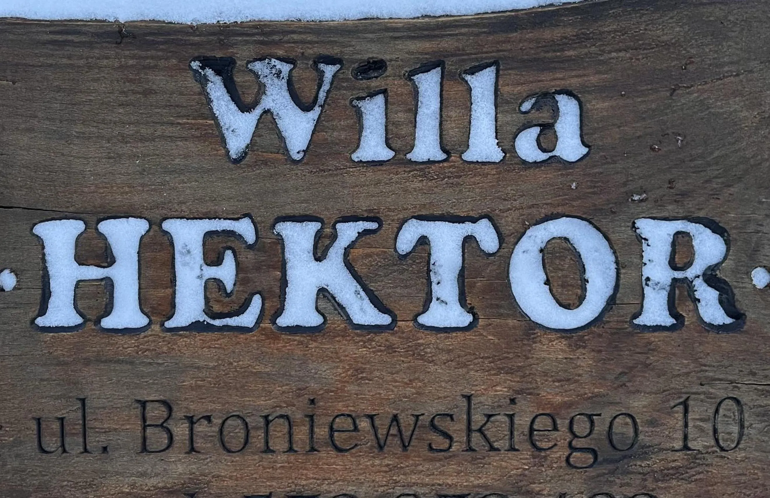 Decorative detail in Willa Hektor