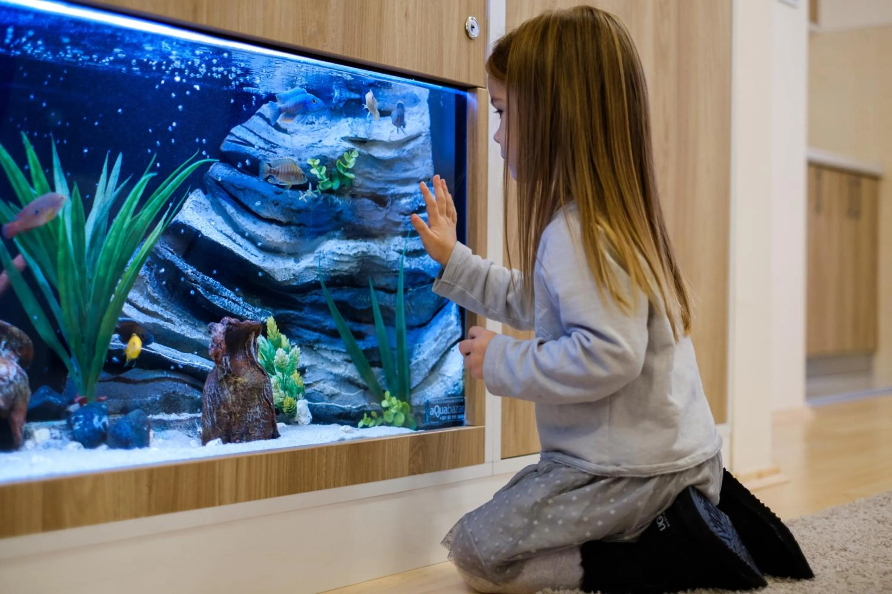 Animals in Airport Hotel Garni