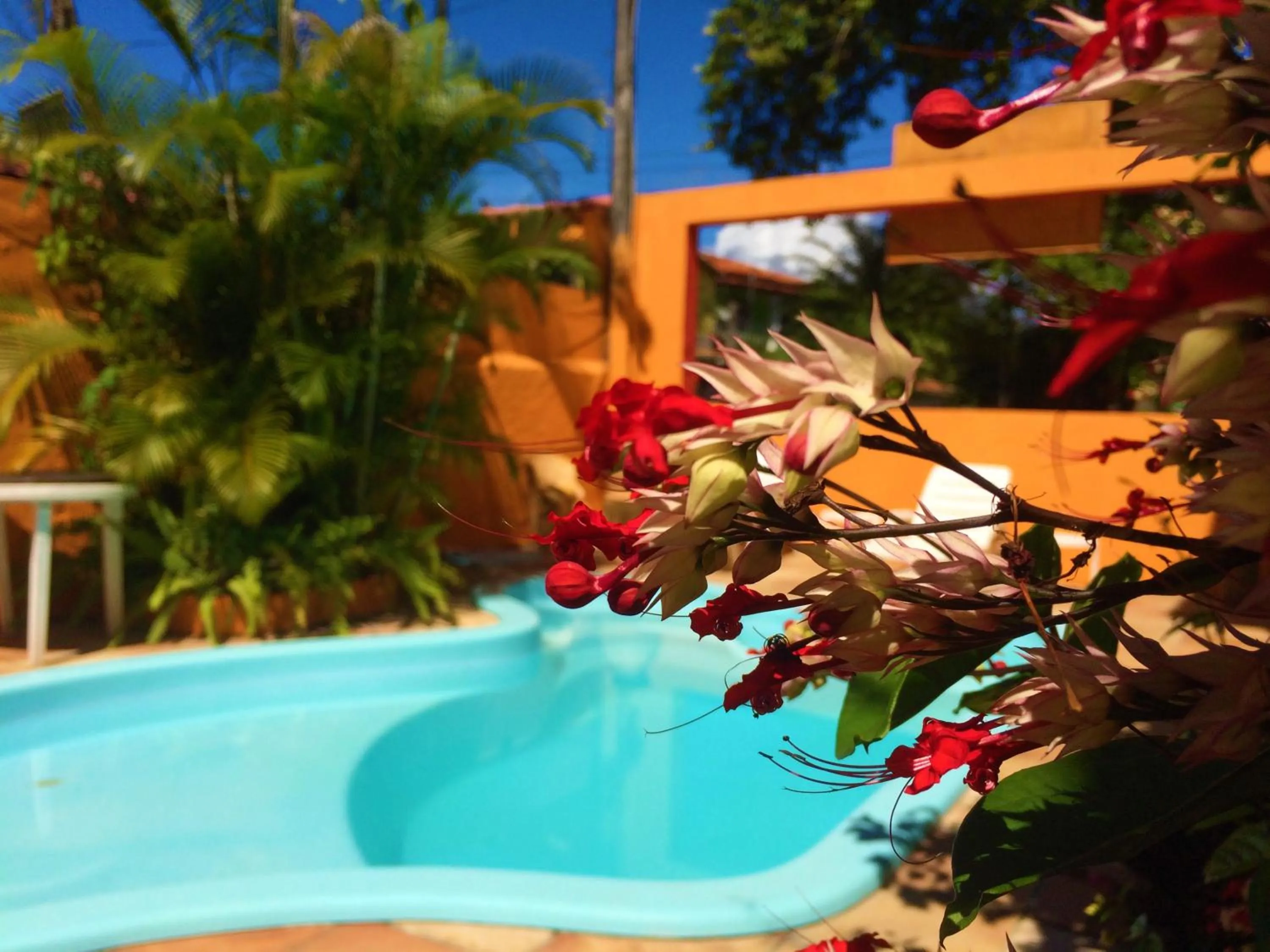 Swimming pool in Pousada Rota Tropicana