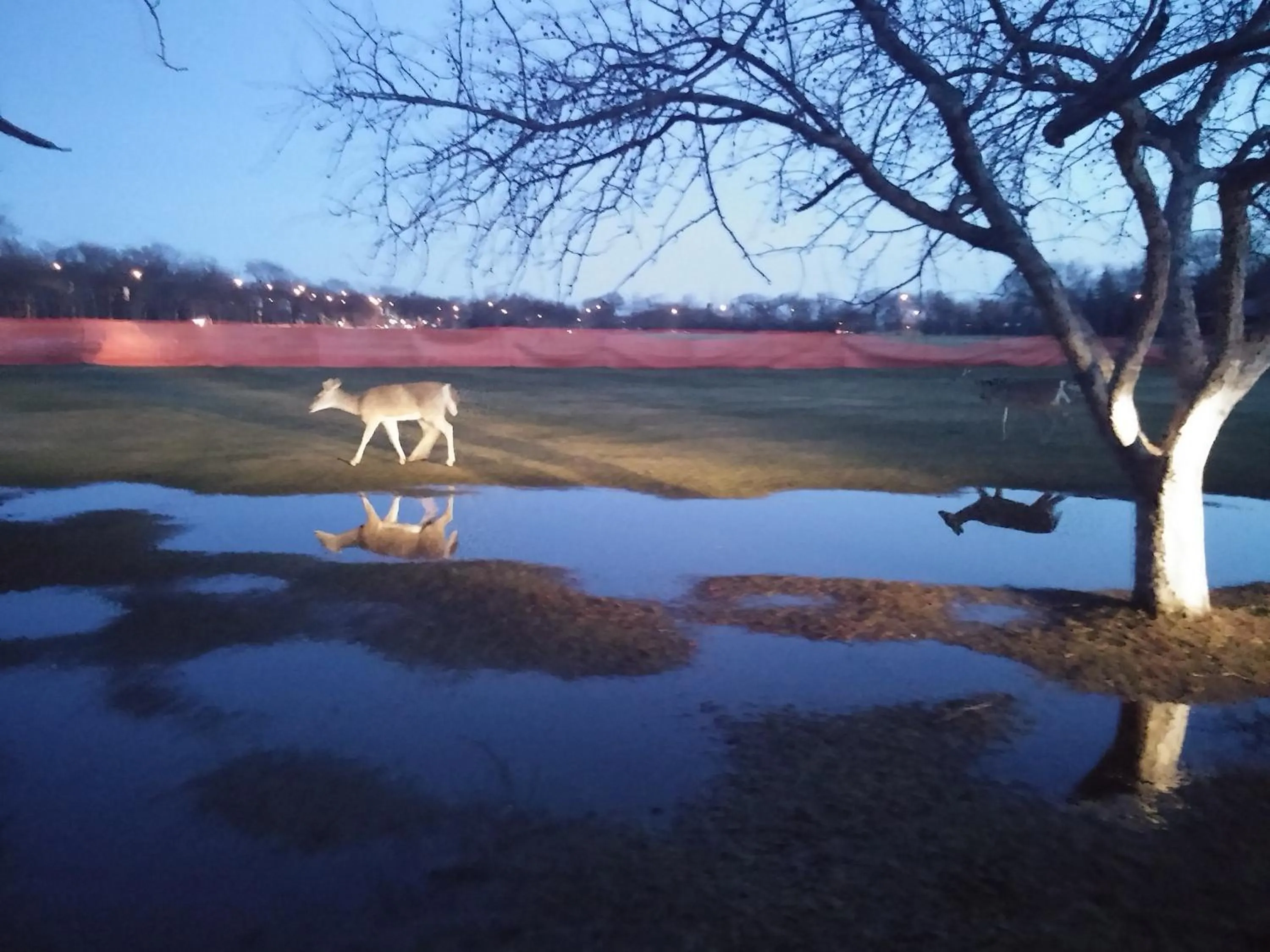Nearby landmark in Winnipeg Homestay