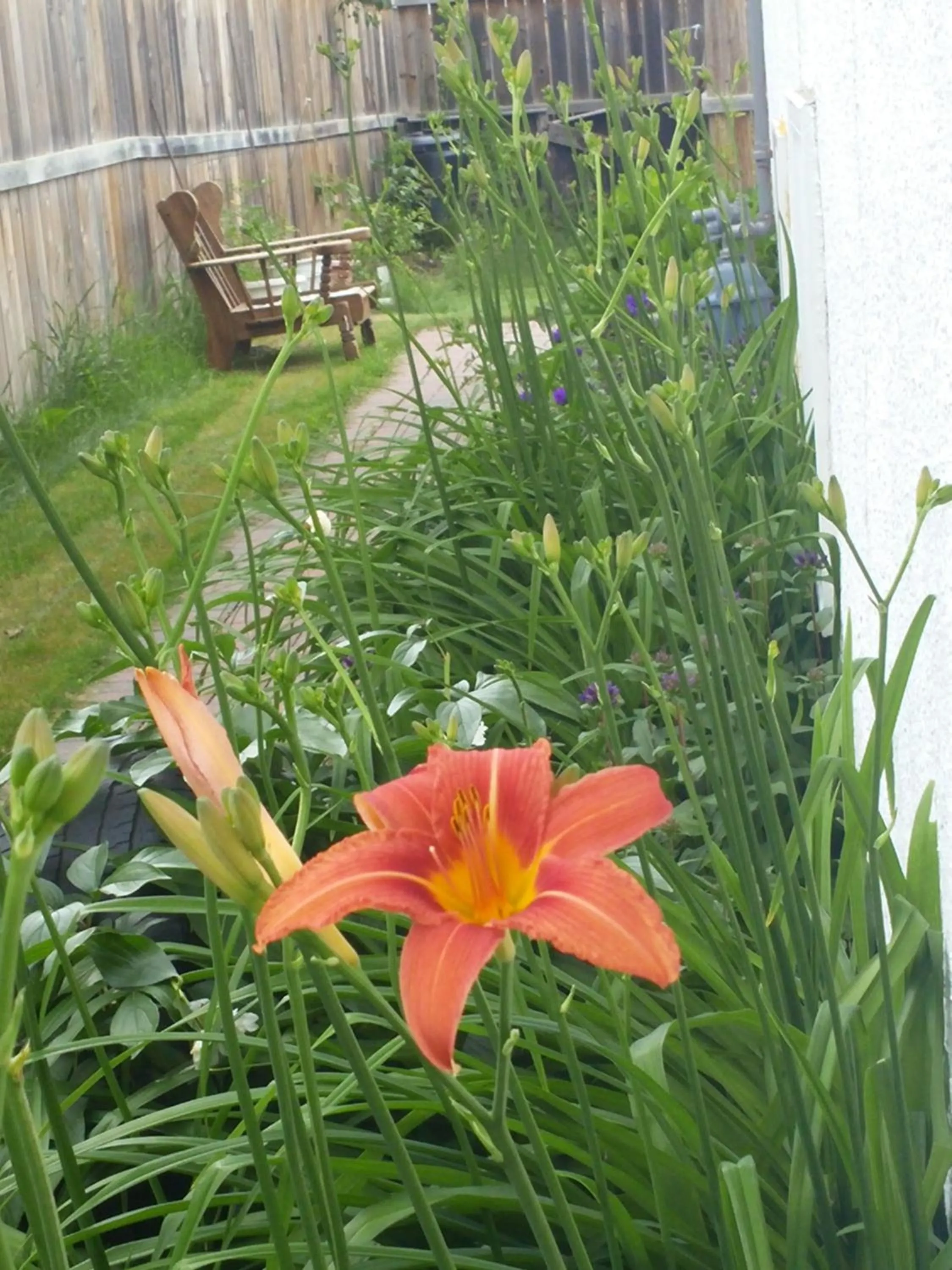 Garden in Winnipeg Homestay