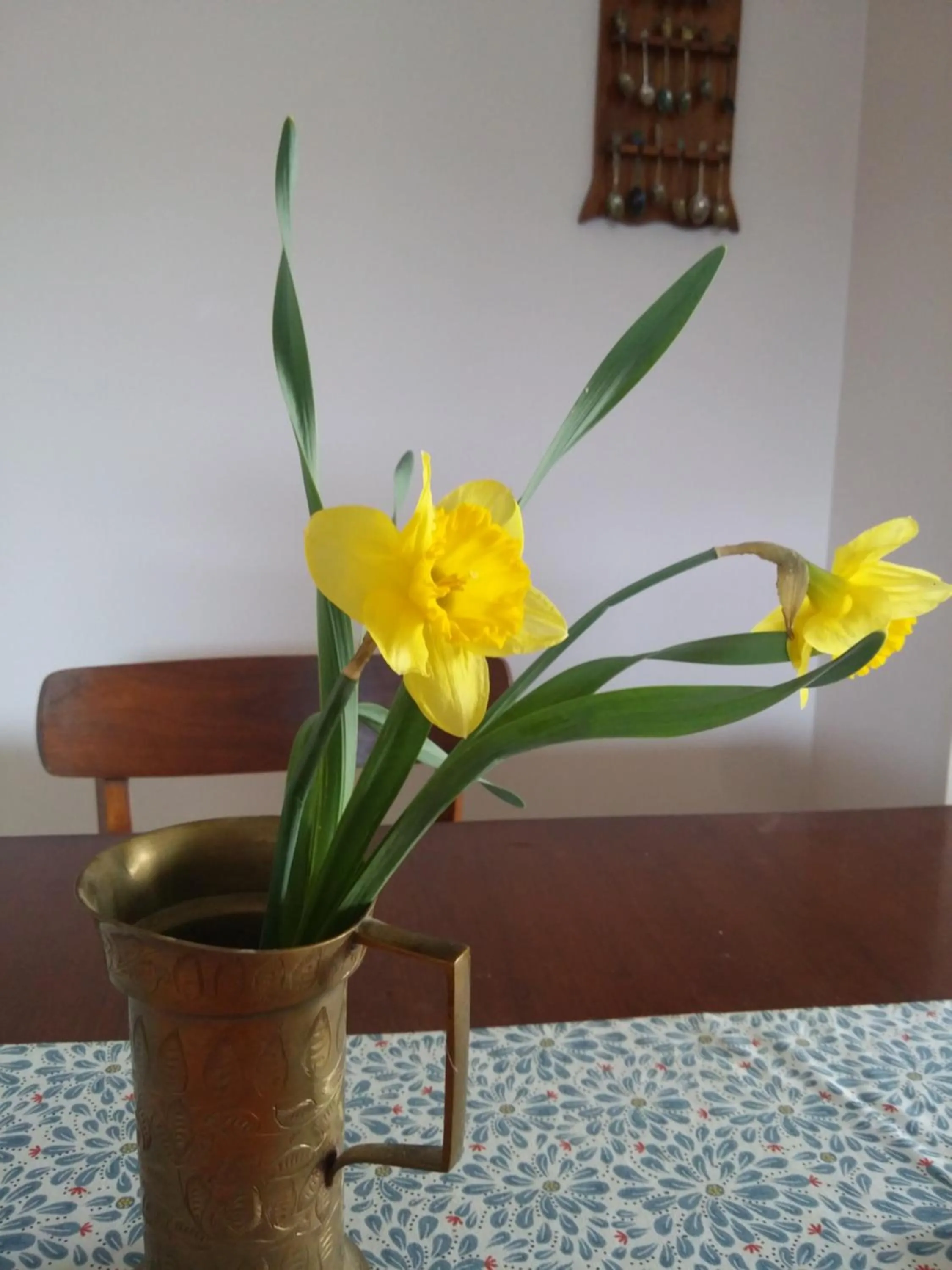 Lobby or reception in Winnipeg Homestay