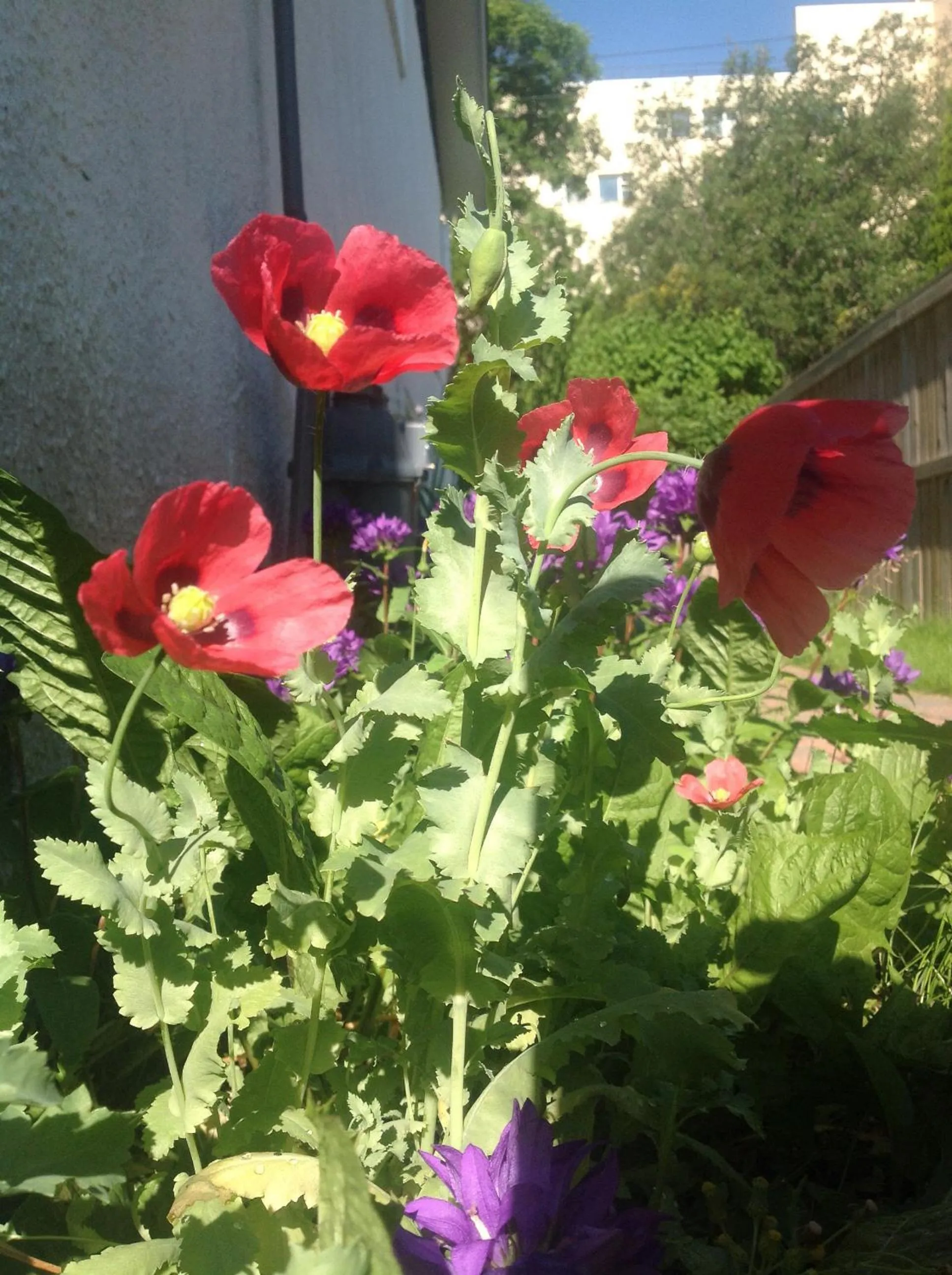 Natural landscape in Winnipeg Homestay