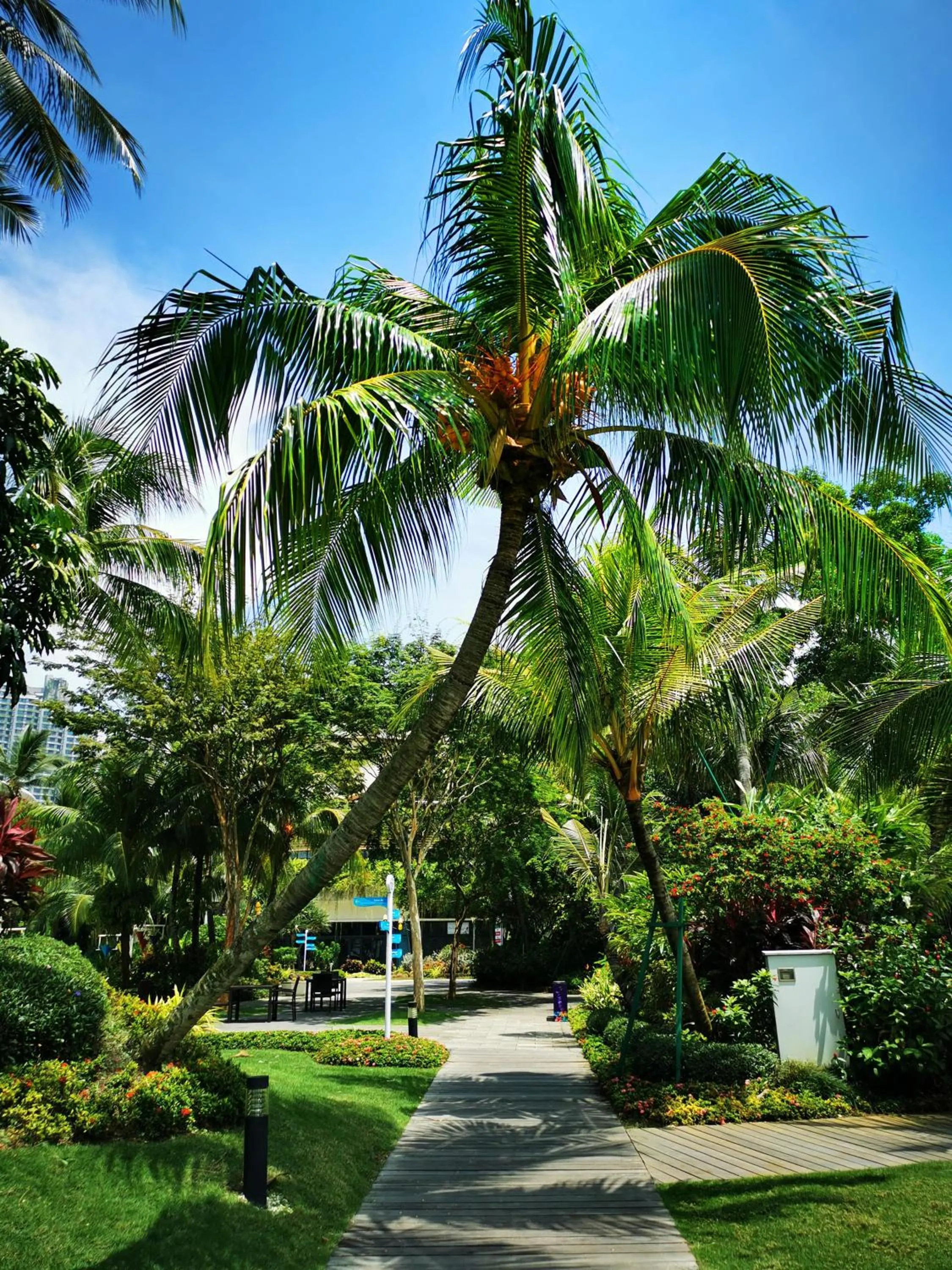 Activities in Forest City Marina Hotel