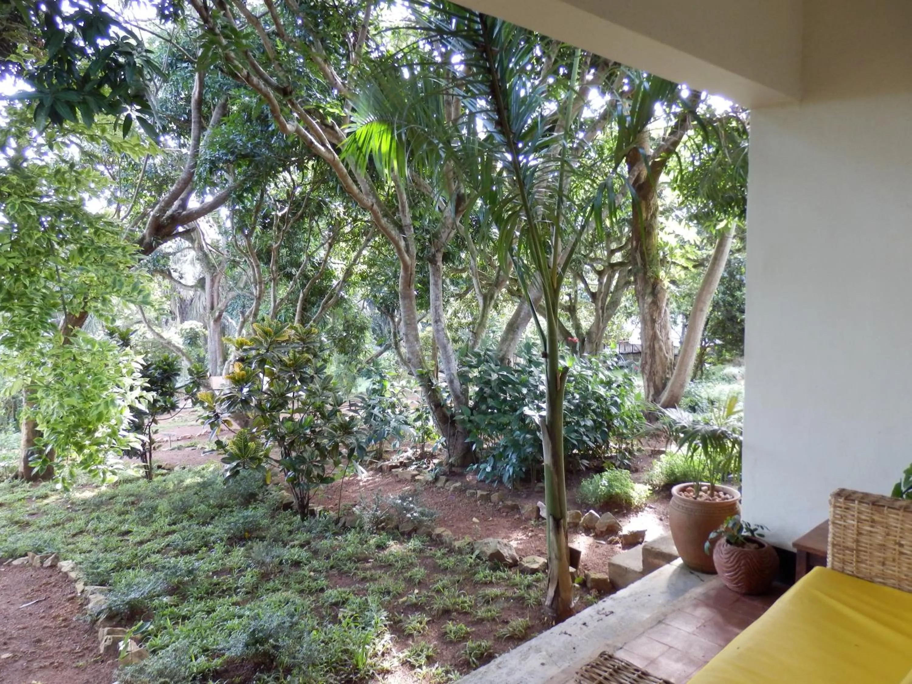 Garden in ViaVia Entebbe