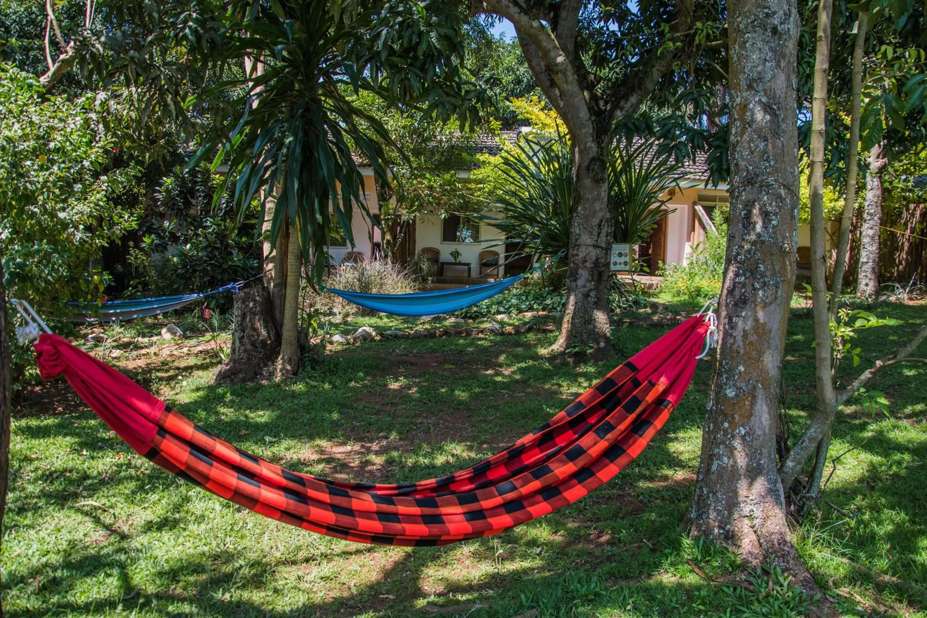 Garden view in ViaVia Entebbe