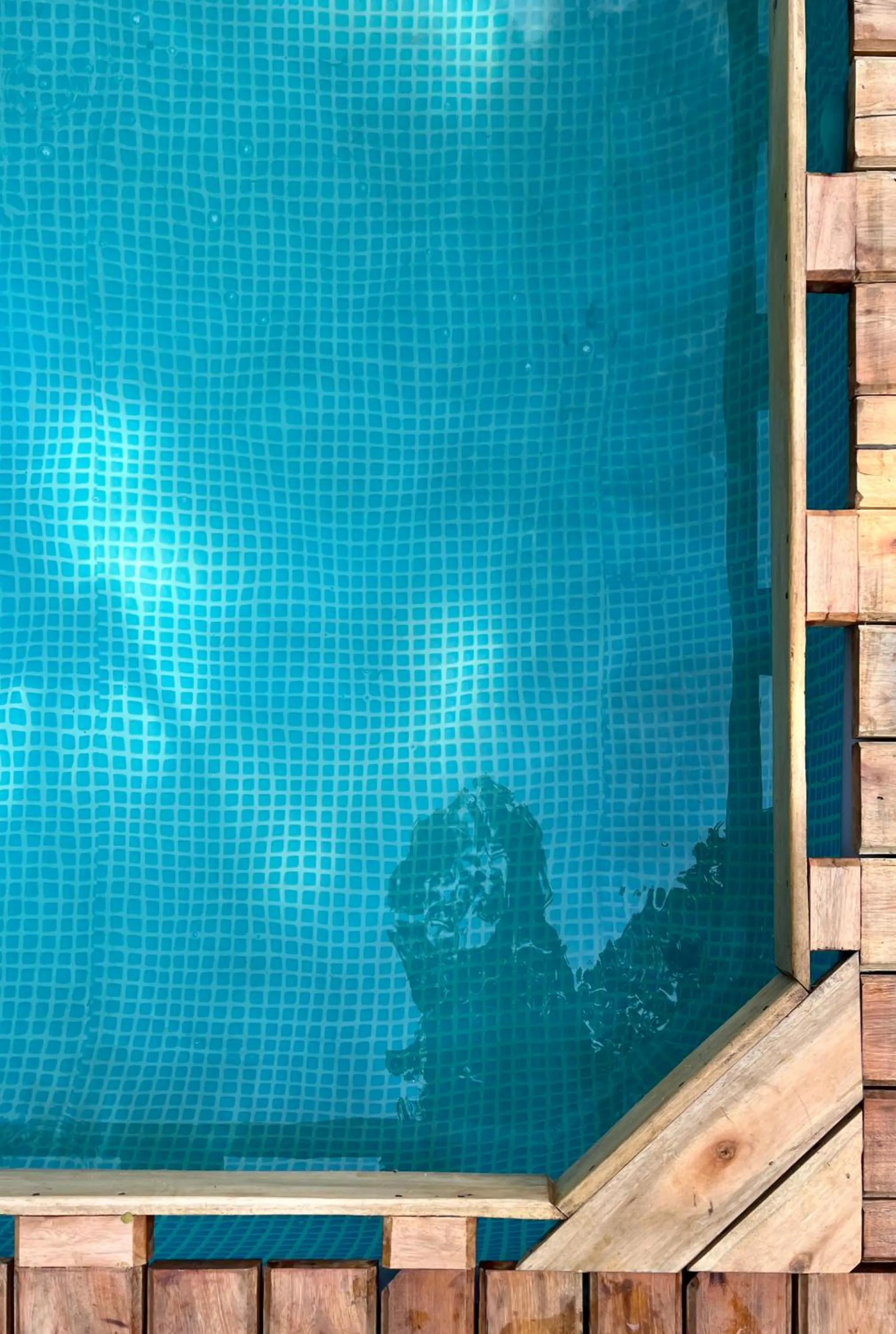 Swimming pool in ViaVia Entebbe