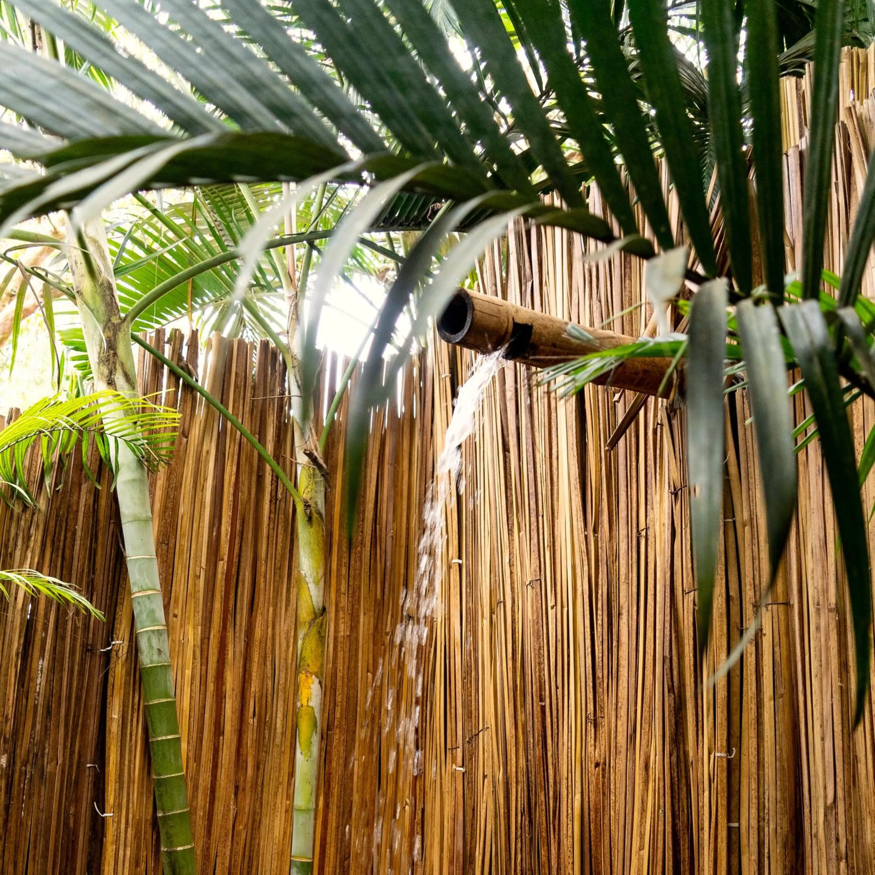 Shower in ViaVia Entebbe