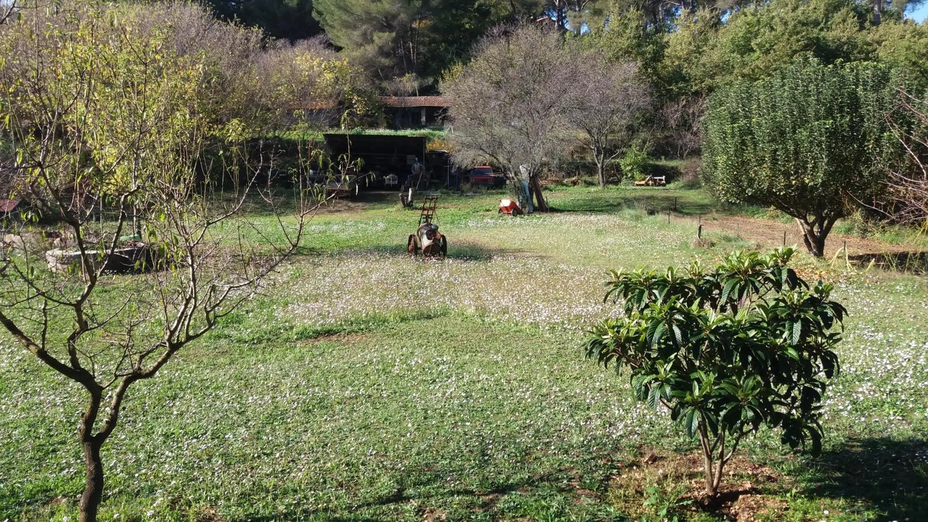 Property building in le Mas du Pin Vert