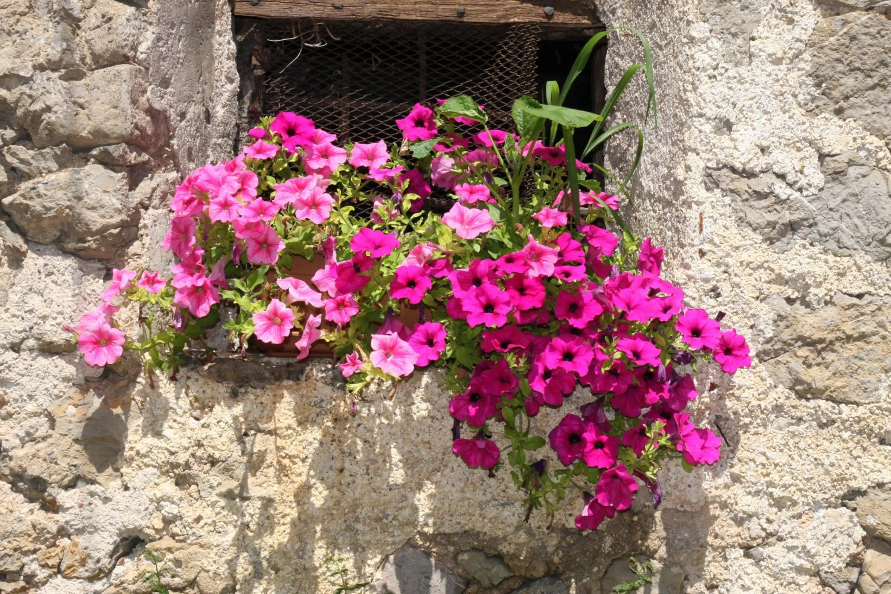 Decorative detail in Casa Torre