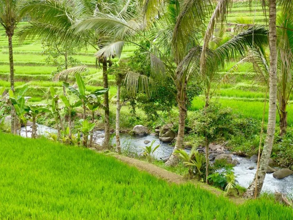 Natural landscape in Bali Mountain Retreat