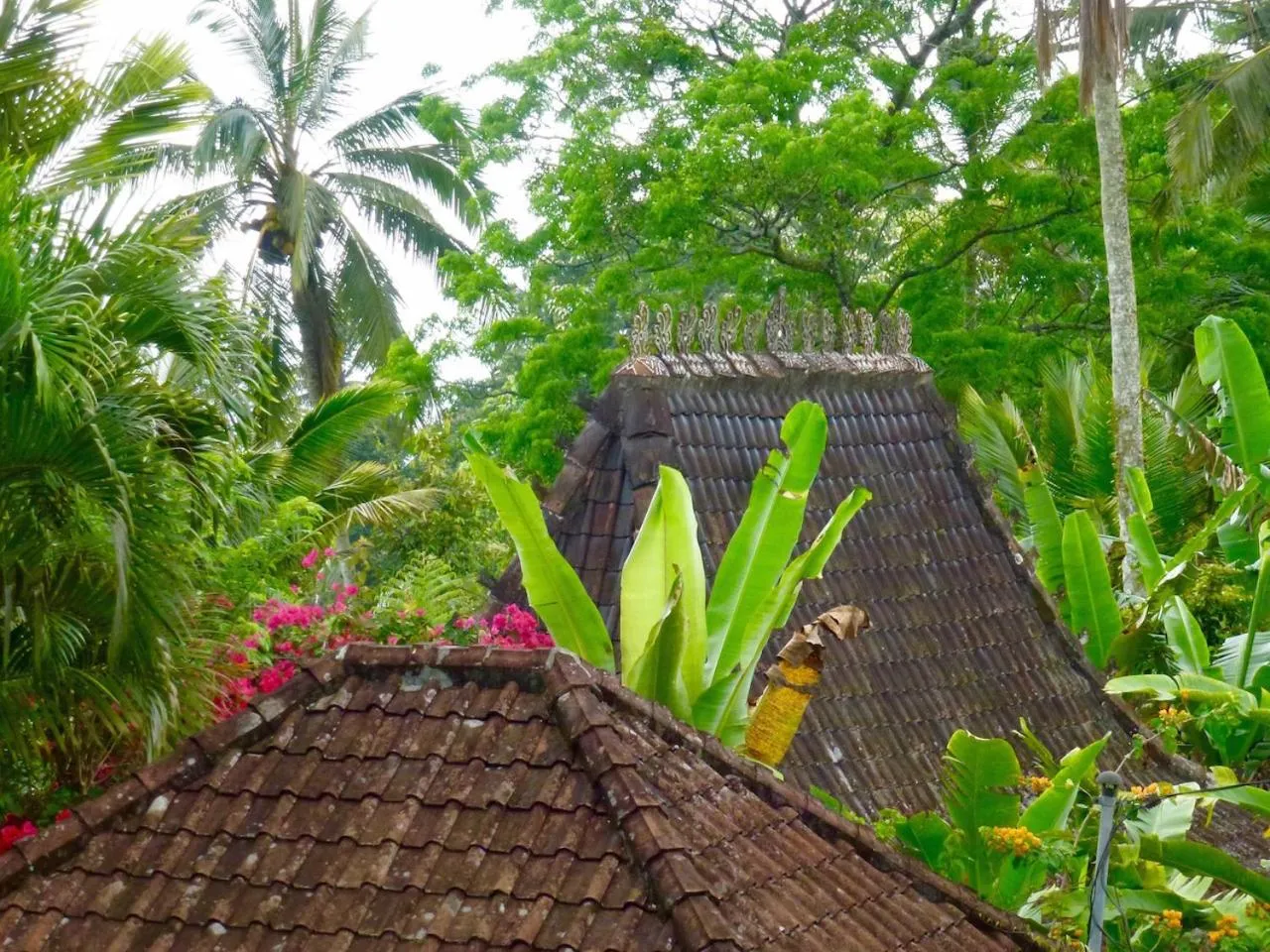 Bird's eye view in Bali Mountain Retreat