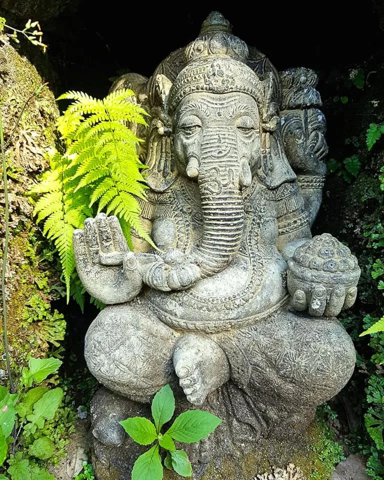 Garden in Bali Mountain Retreat