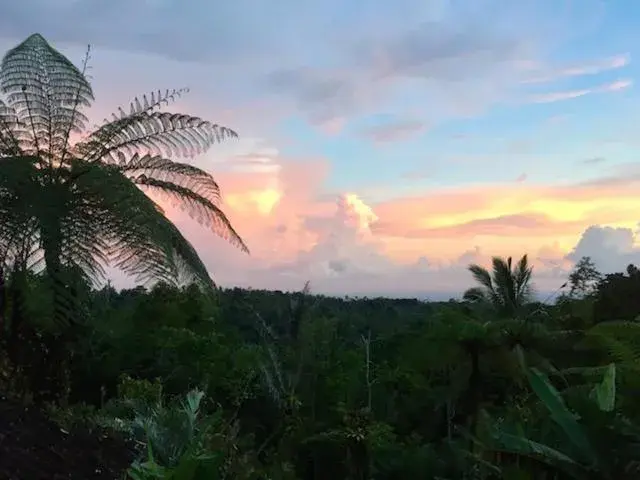 View (from property/room) in Bali Mountain Retreat View (from property/room) in Bali Mountain Retreat