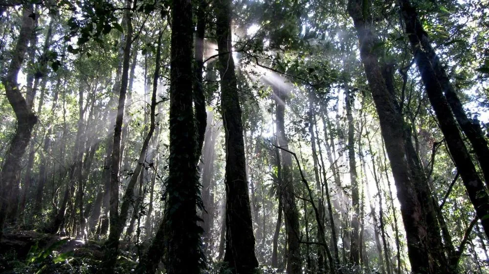 Bali Mountain Retreat