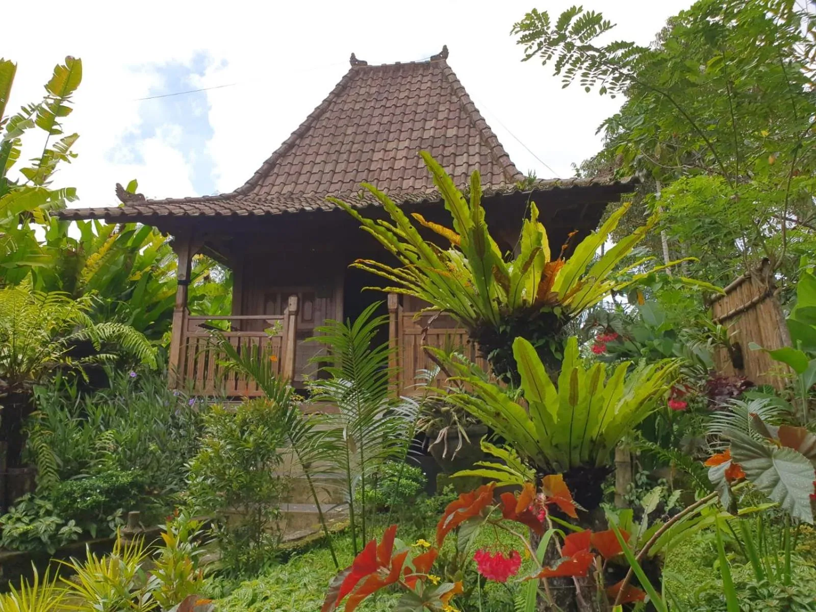 Bali Mountain Retreat