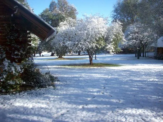 Garden in Grenouille