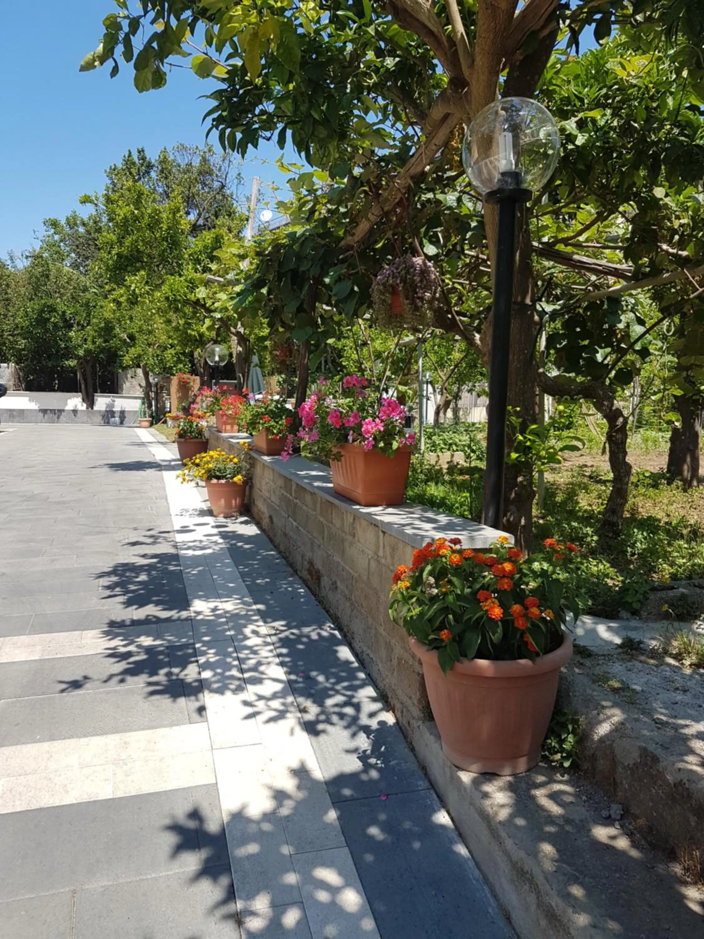 Garden in Casa Aristide