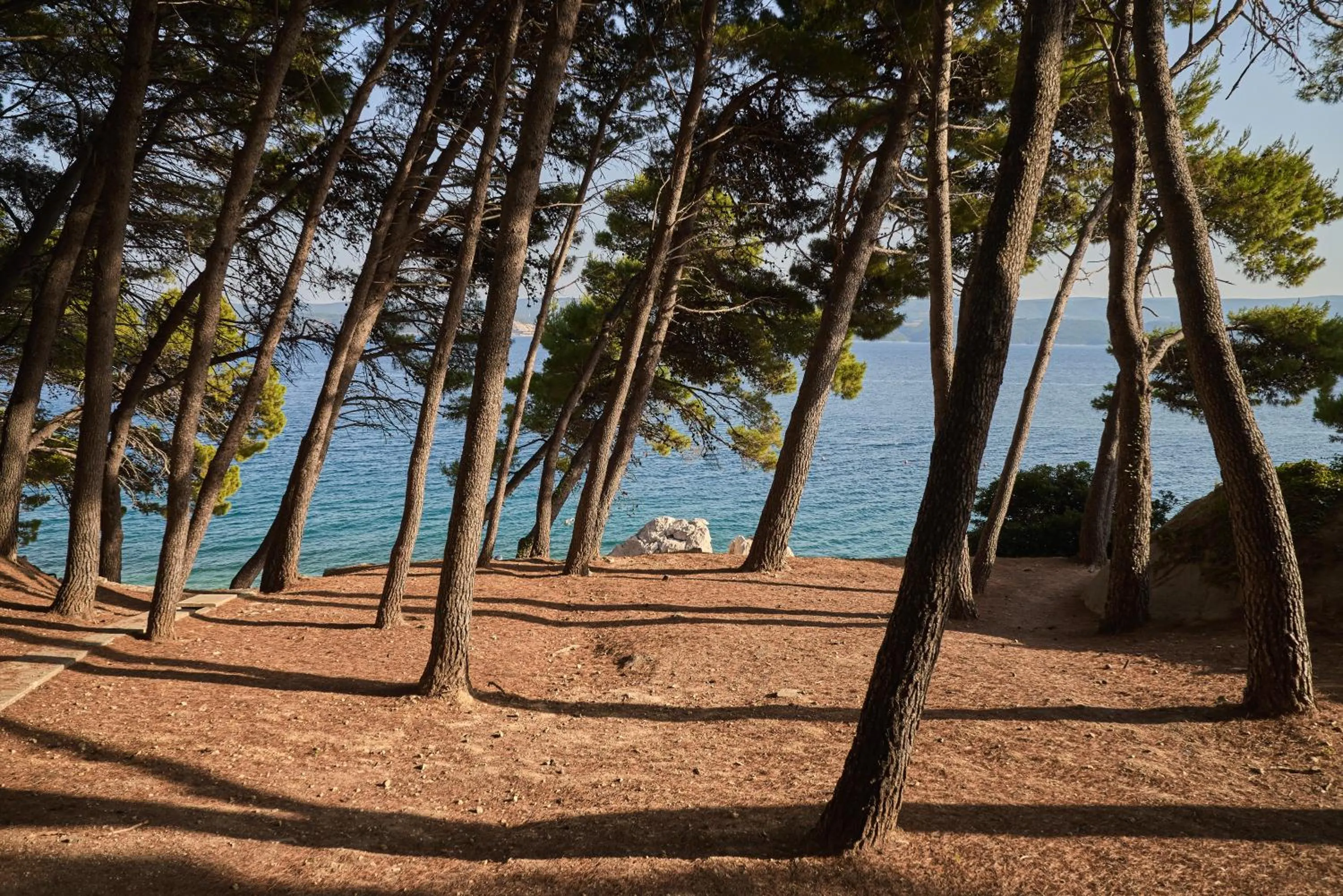 Fishing in Sagitta All inclusive light